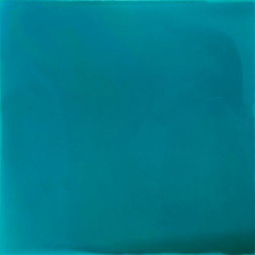 Keira Kotler  February 3 to April 23, 2010 [I Look for Light], urethane and varnish on acrylic 24 x 24 inches