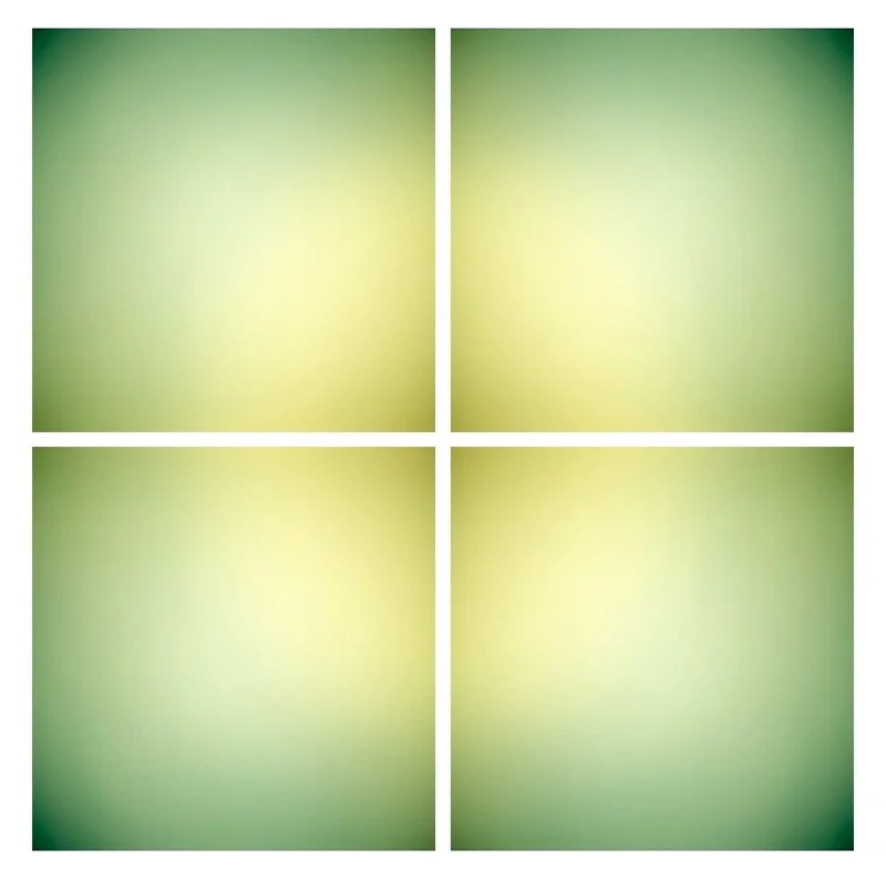 Keira Kotler Lime 023109 [grid], 2010,  4 LightJet prints on aluminum 50 x 50 inches overall