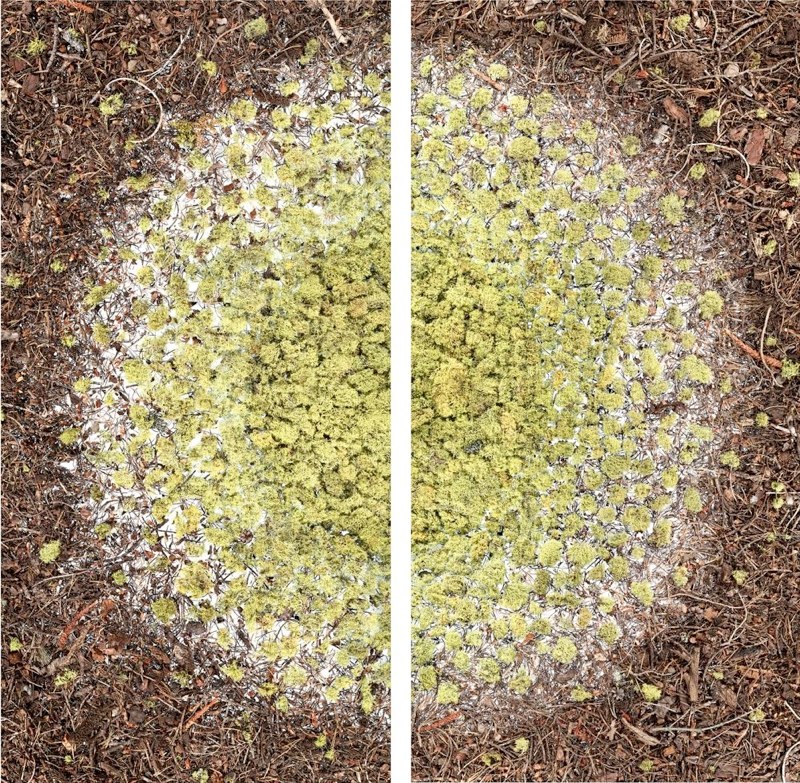 Galloway.Nebular.2011.LightJetC-print from scan-based images.diptych.76.25x76.25inchesoverall.jpg