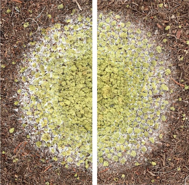 Galloway.Nebular.2011.LightJetC-print from scan-based images.diptych.76.25x76.25inchesoverall.jpg