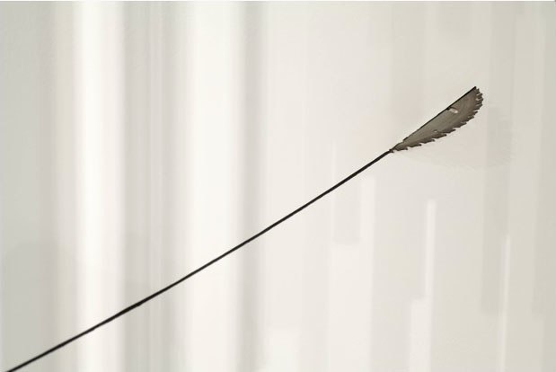 Misguided Carpenter, 2012, saw blade, dimensions variable