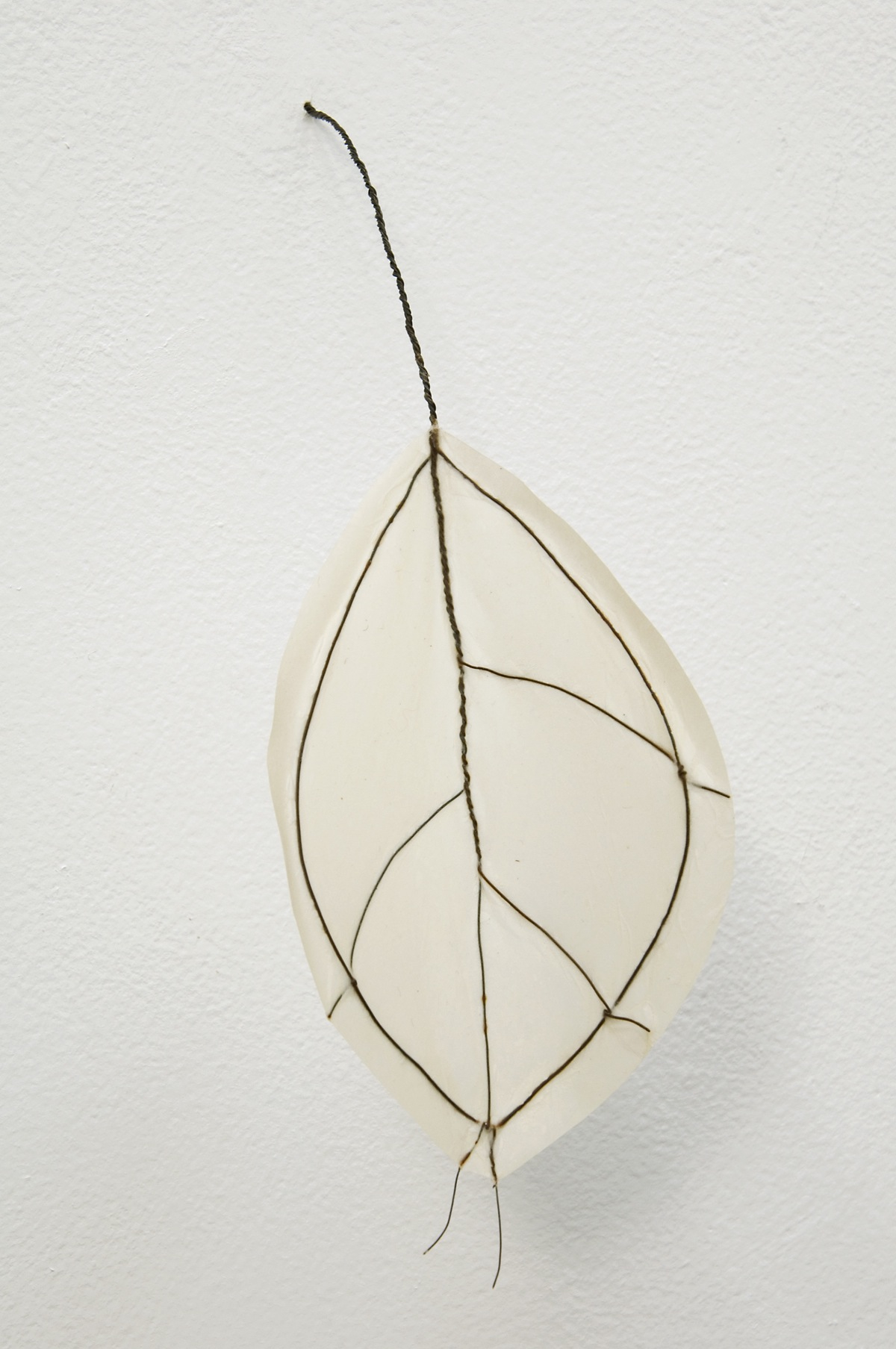 Andrews.COLLECTOR EDITION.Paper-Thin1.paper,wire.appx12x4x5.350