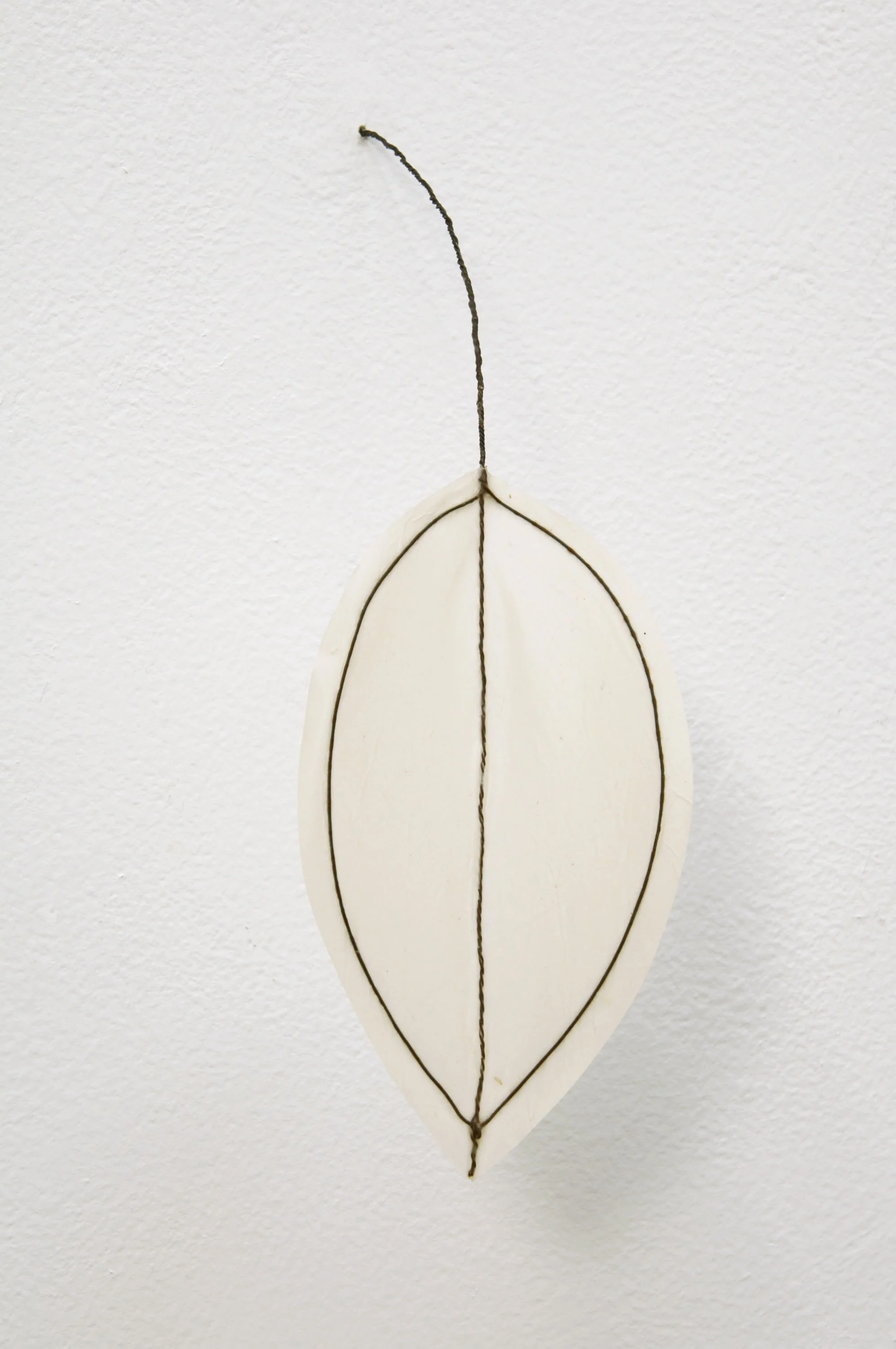 Andrews.COLLECTOR EDITION.Paper-Thin2.paper,wire.appx12x4x5.jpg