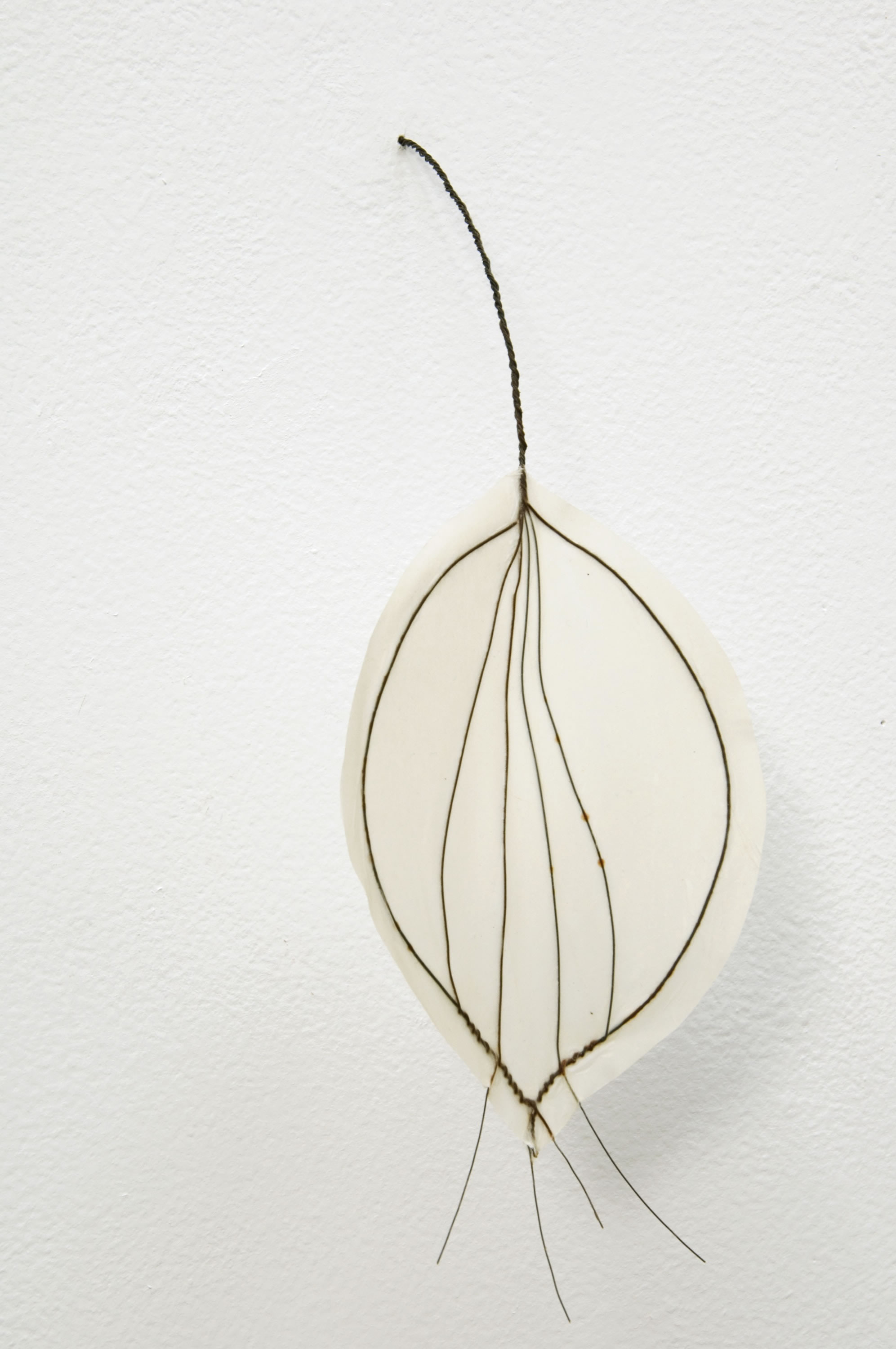 Andrews.COLLECTOR EDITION_Paper-Thin4.jpg