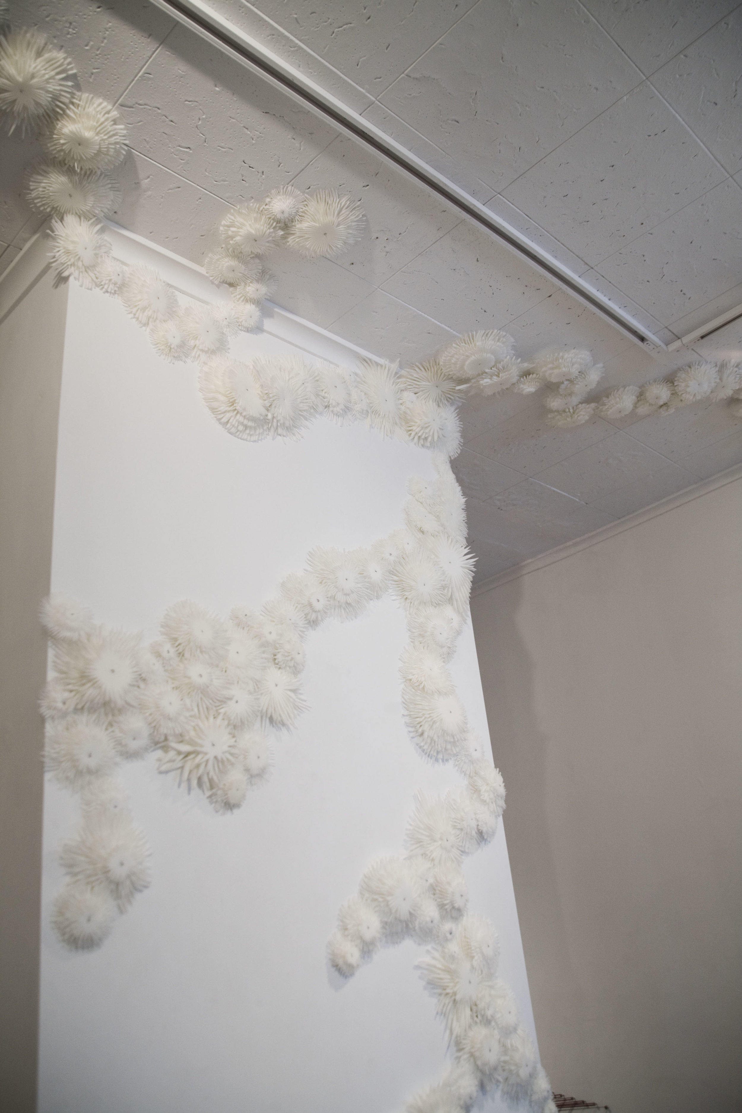 Rachel Abrams, "frustrules," (detail)
