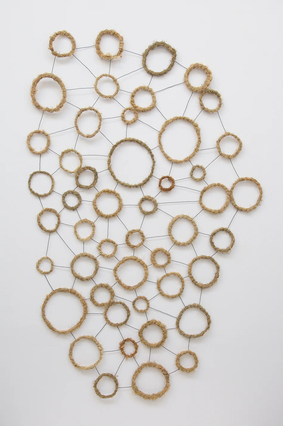 Andrews_Colony_2018_steel,lichen.64x41x1inch.jpg