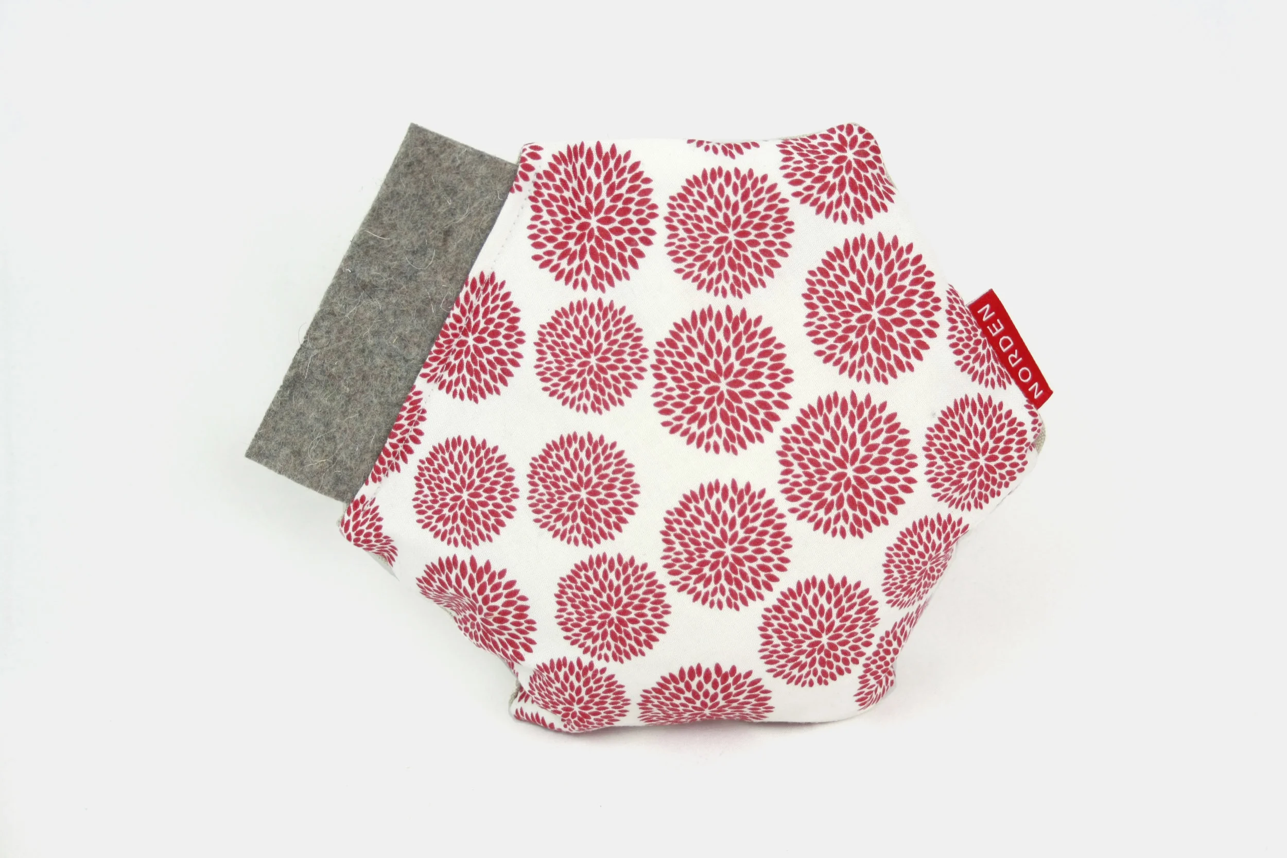 Red Chrysanthemum on White