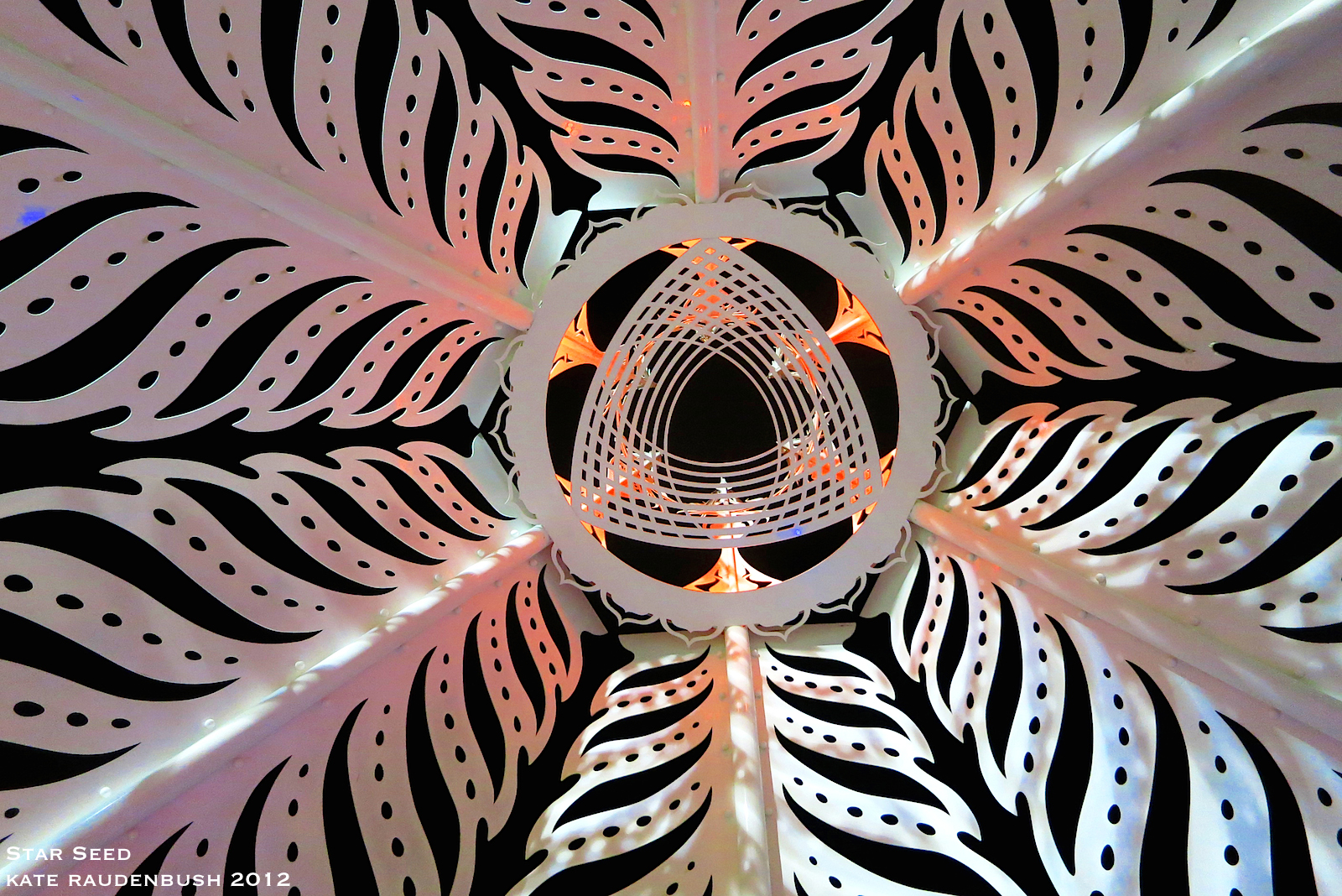 canopy leaf ceiling-white light_3783 copy.jpg