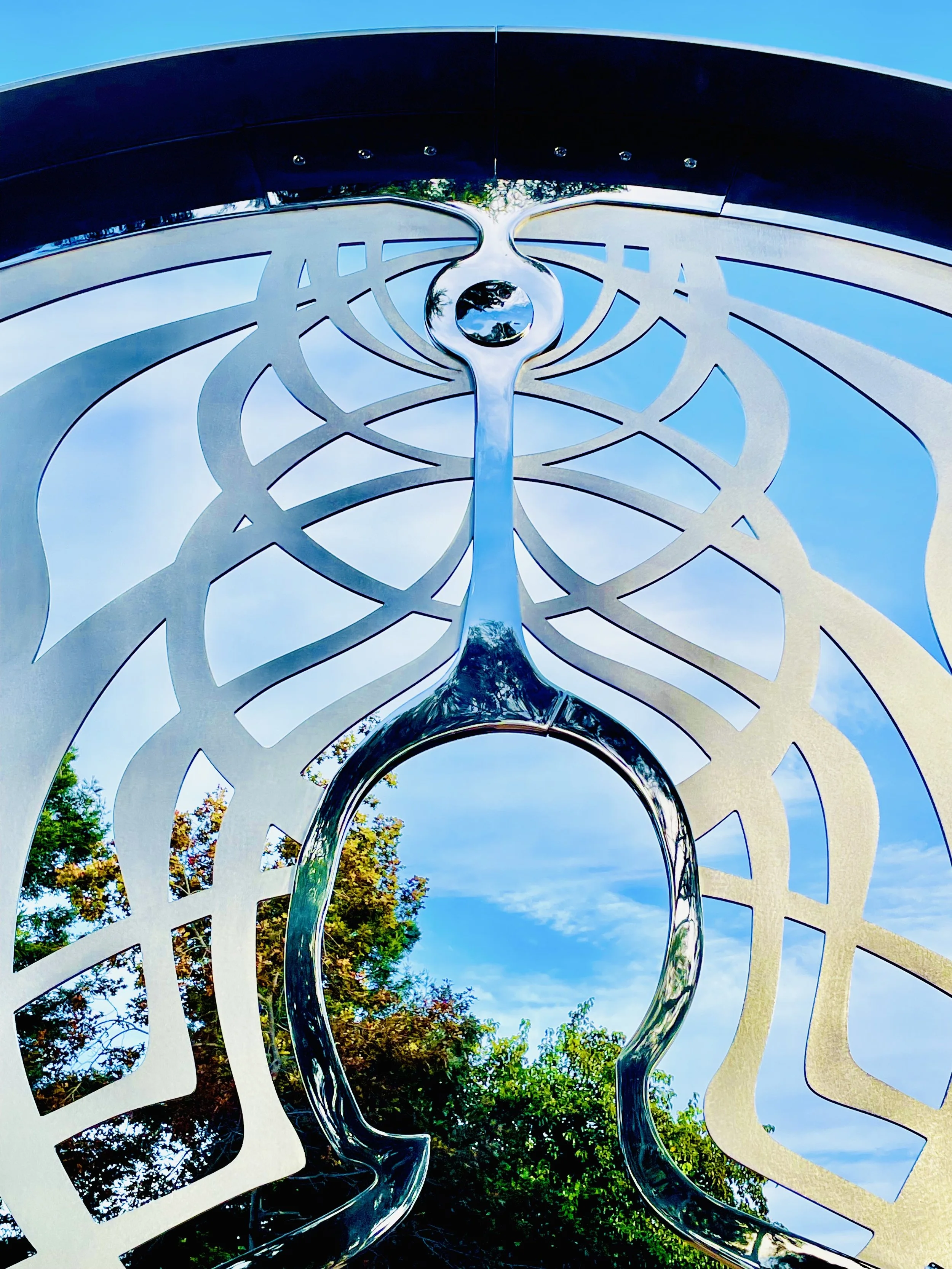 Life Force-conscious eye-©Kate Raudenbush 2025.jpg