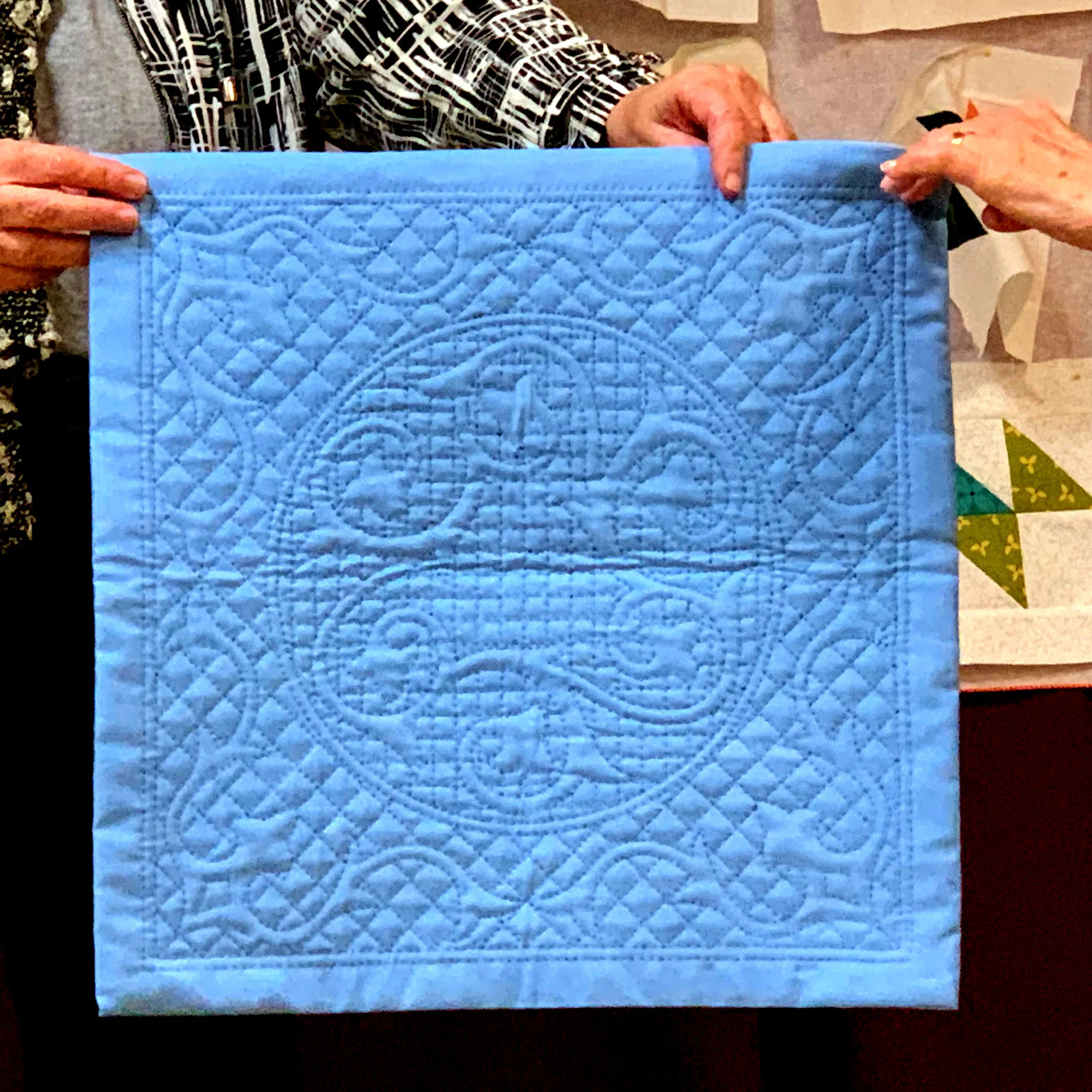 Whole cloth quilt, by Maryann Cannavale