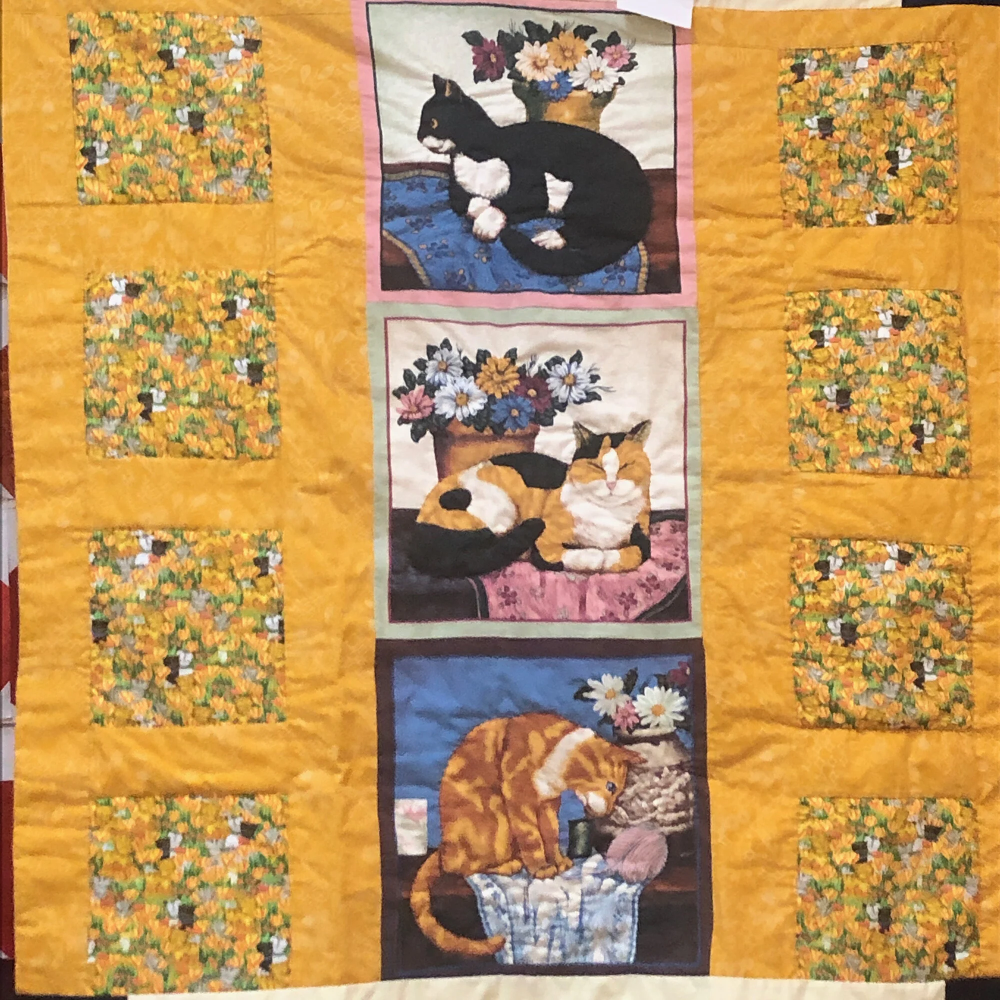 Margaret Kelly, The Cat's Meow (Copy)