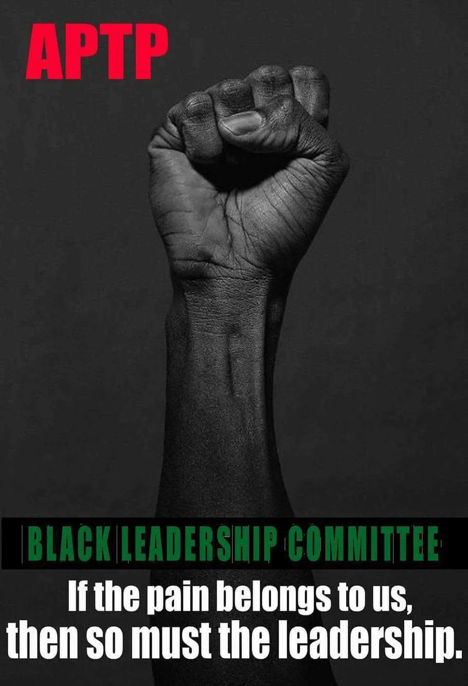 Black Leadership Committee - Call to Action!