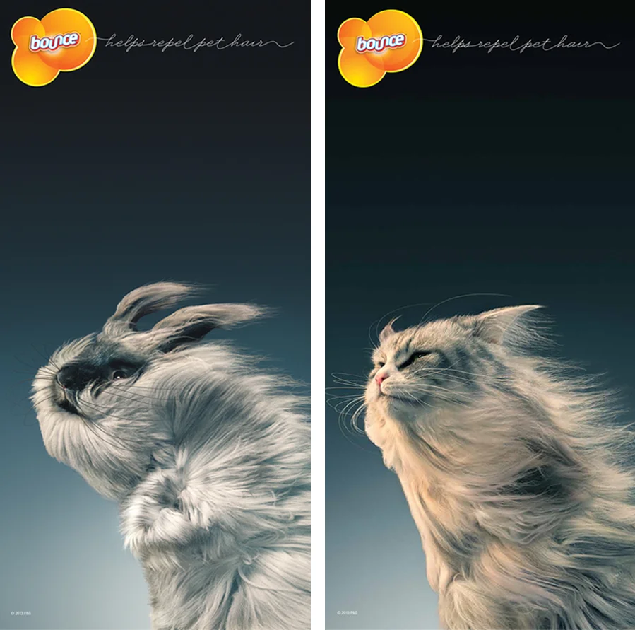 Bounce-newspaper-ad-cat.jpg