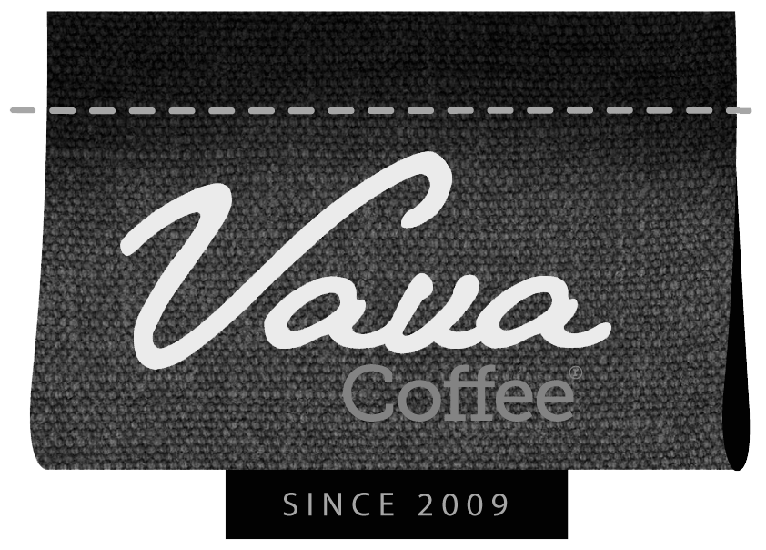 vava_logo_poster.png