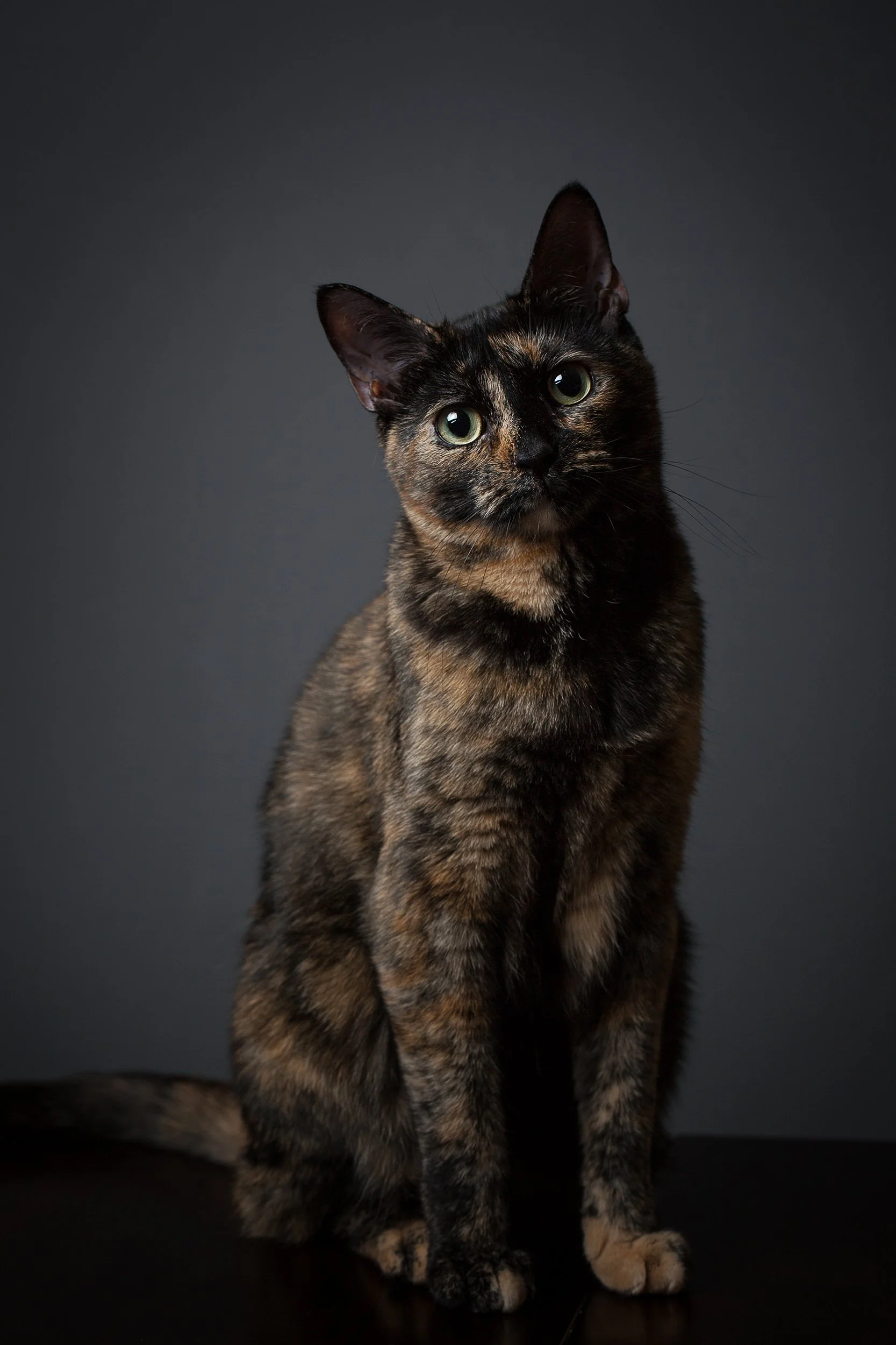 natasha grey copy.jpg