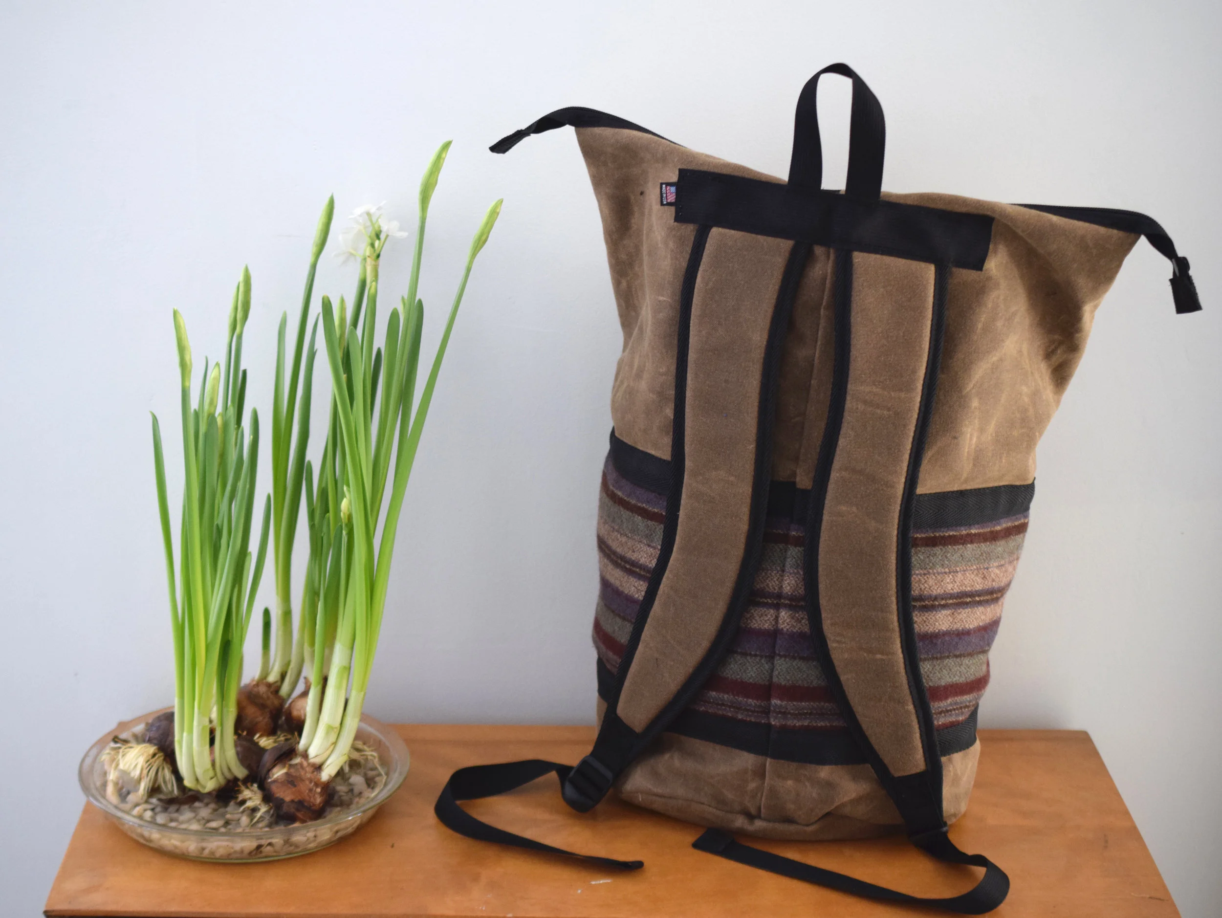vegan backpack carry-on