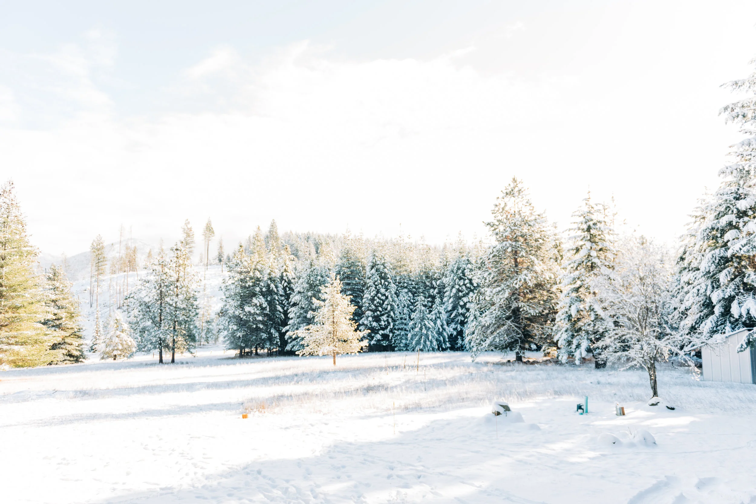 White Christmas || Sandpoint, Idaho || Holiday 2018 || Northern Idaho Photographer || Stevie Dee Photography