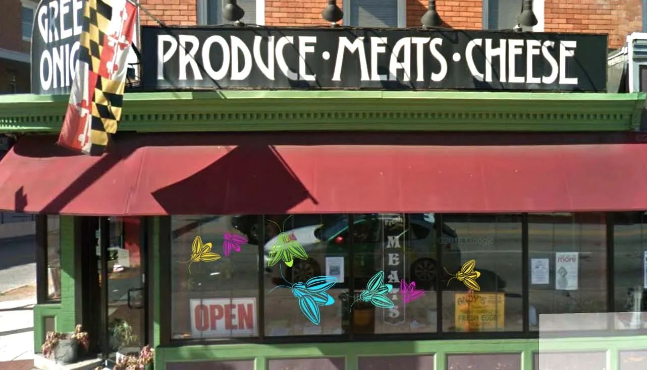 Green Onion Window Display