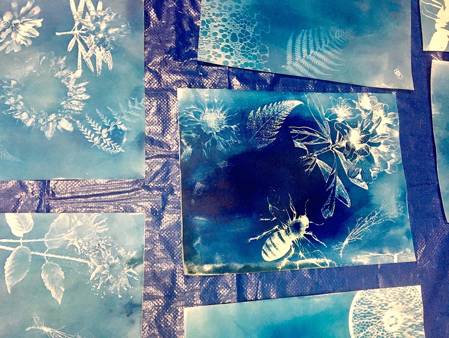 Cyanotype print workshop