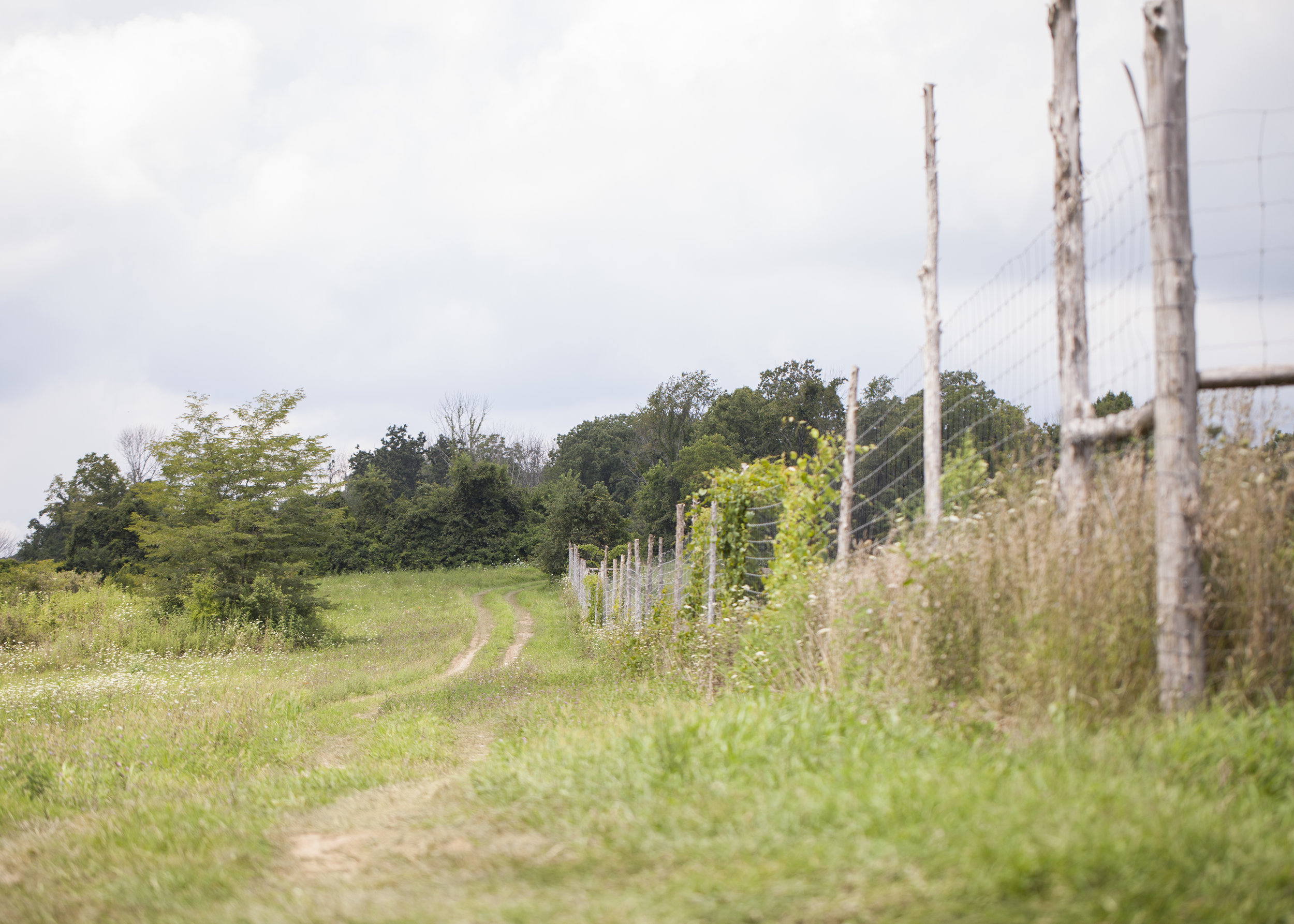 1 Farm Pathway.jpg
