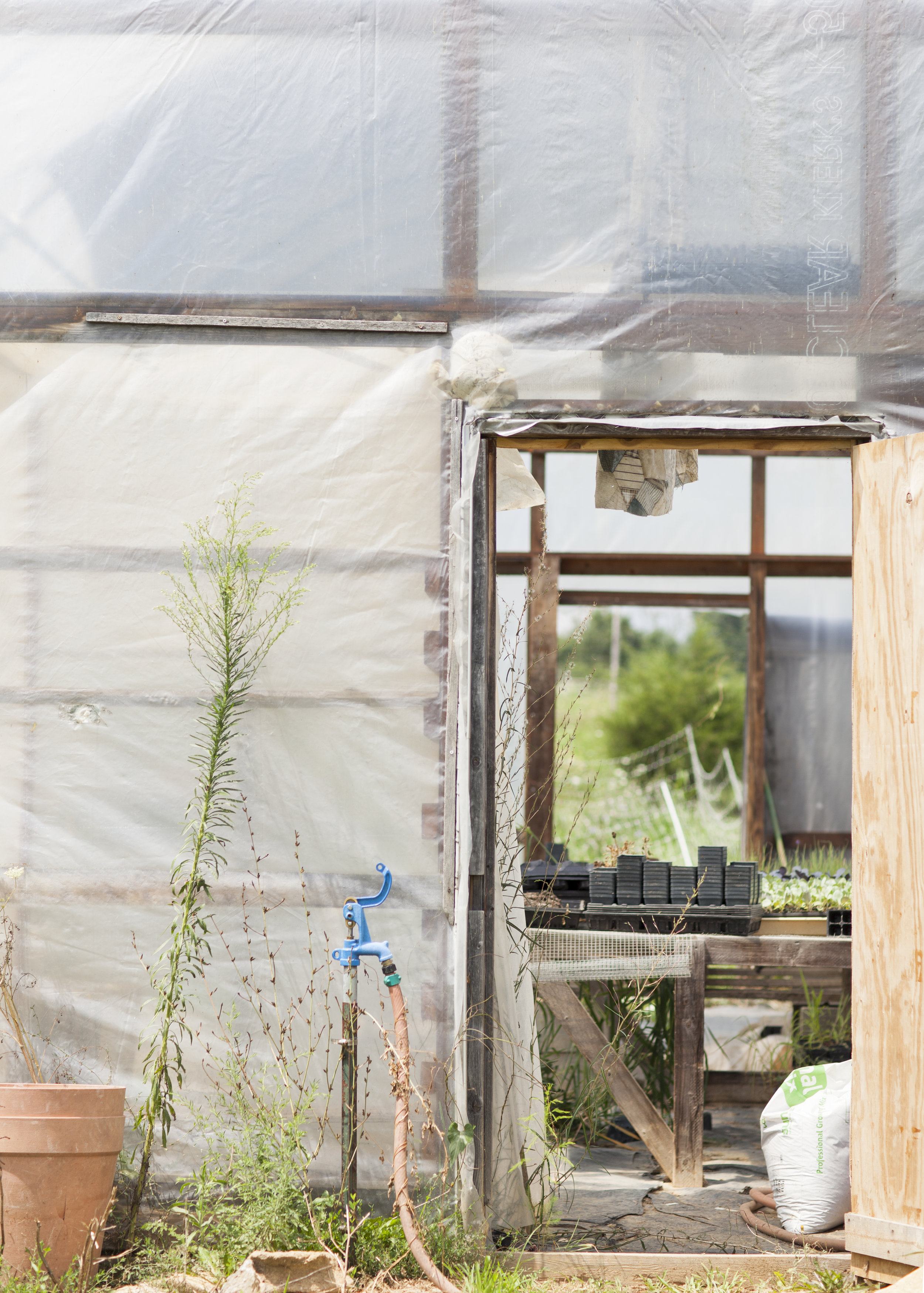 7 Greenhouse1.jpg