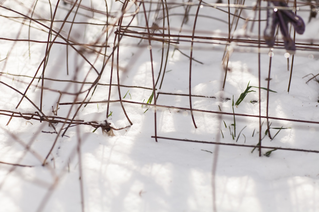 <style> .gorman farm Cincinnati photography { display: none } </style>