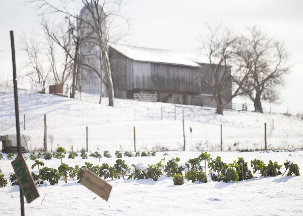 <style> .gorman farm Cincinnati photography { display: none } </style>