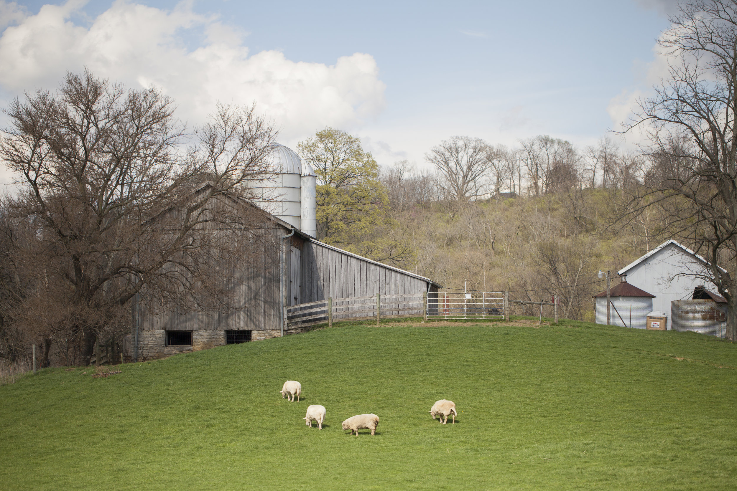 <style> .gorman farm Cincinnati photography { display: none } </style>