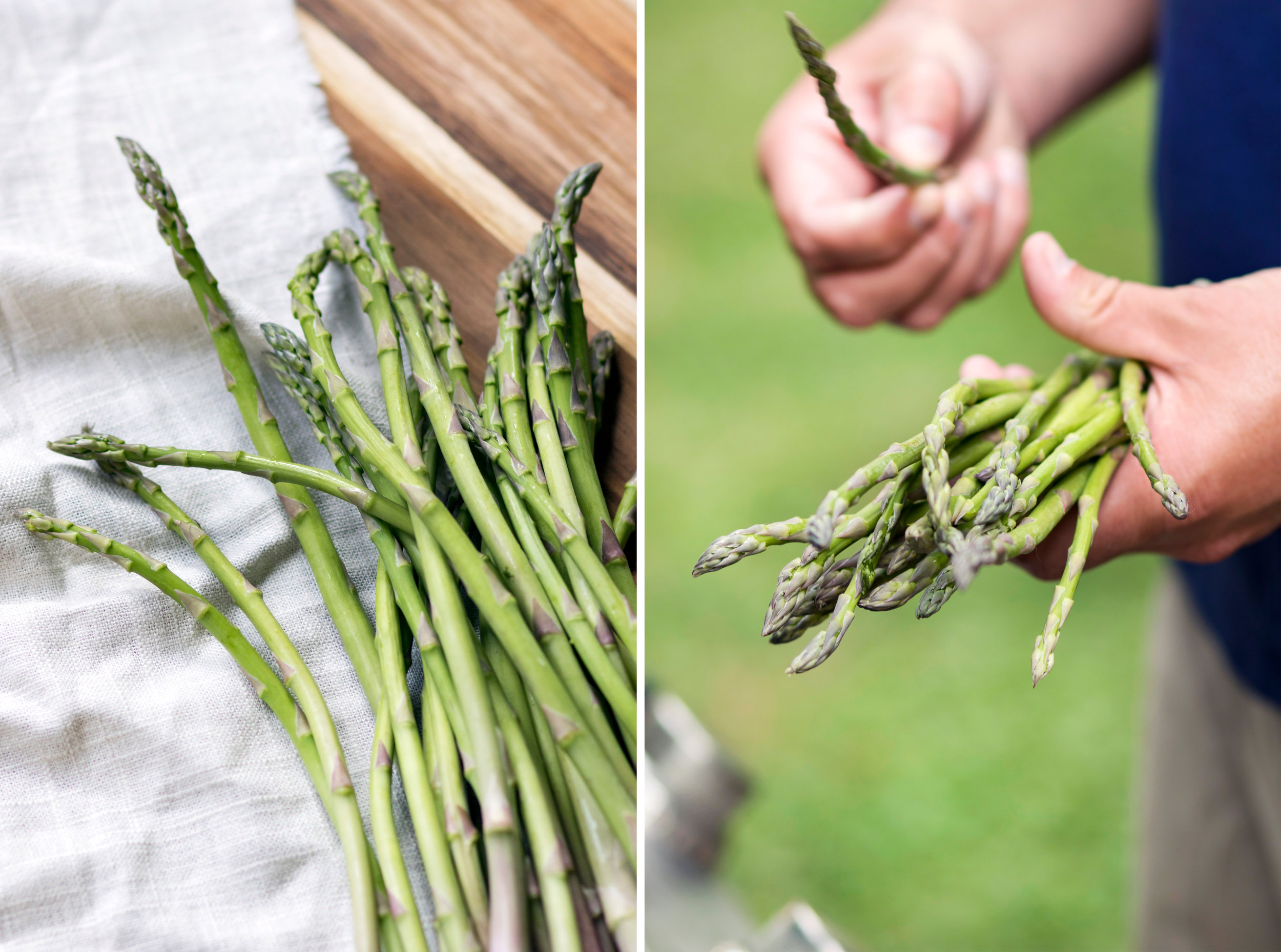 Cincinnati Food Lifestyle Photographer | Grilled Asparagus | Allison McAdams.jpg