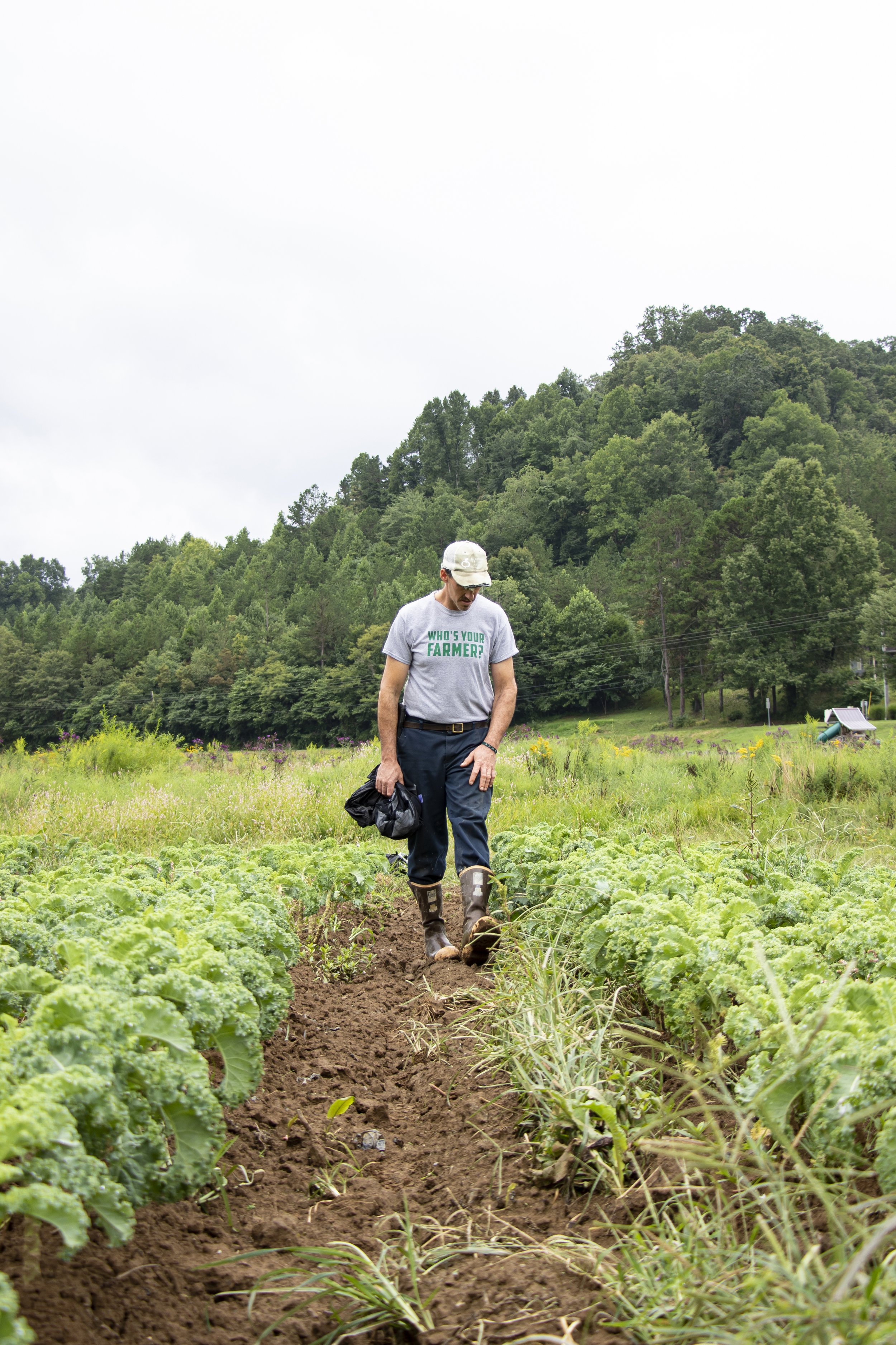 CincinnatiFarmPhotographer_FarmPhotographer_SustainableHarvestFarm_AllisonMcAdams.jpg