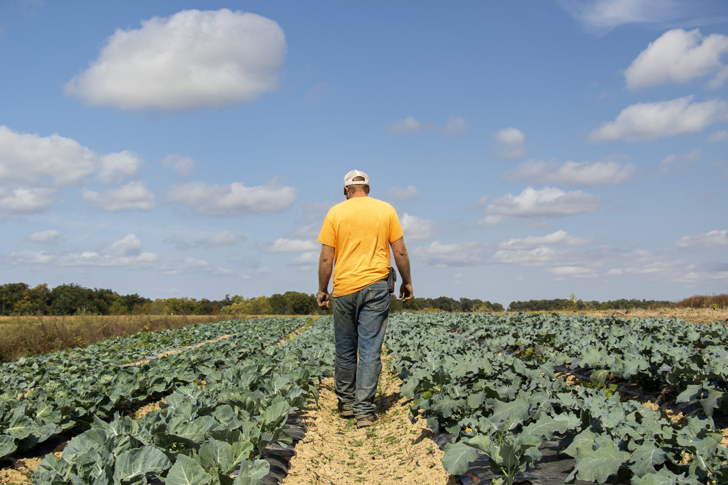 CincinnatiFarmPhotographer_FarmPhotographer_LobensteinsFamilyFarm_AllisonMcAdams1.JPG