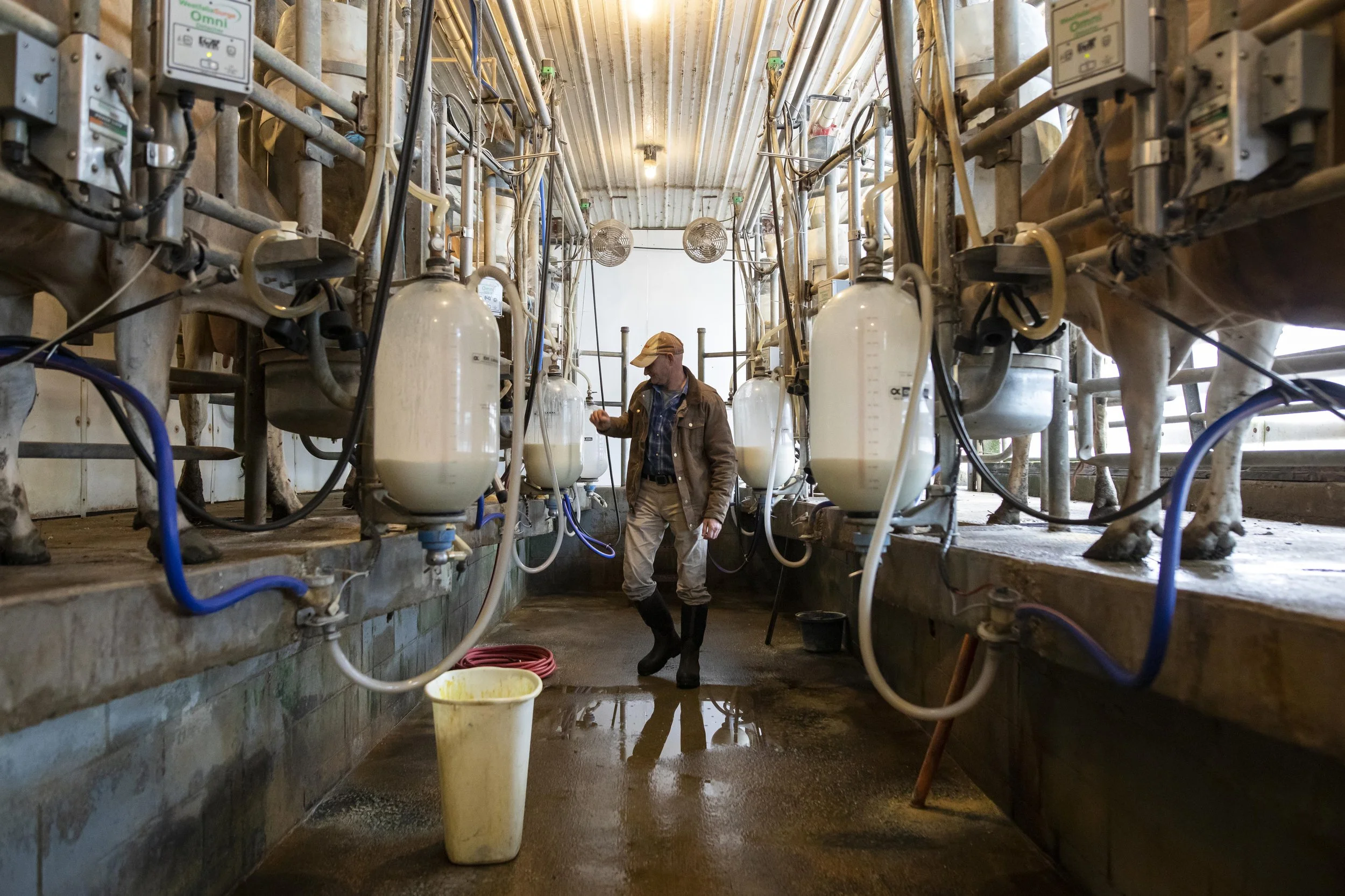 Swallow Hill Dairy | Ohio Farm Photographer | Allison McAdams | 013.jpg