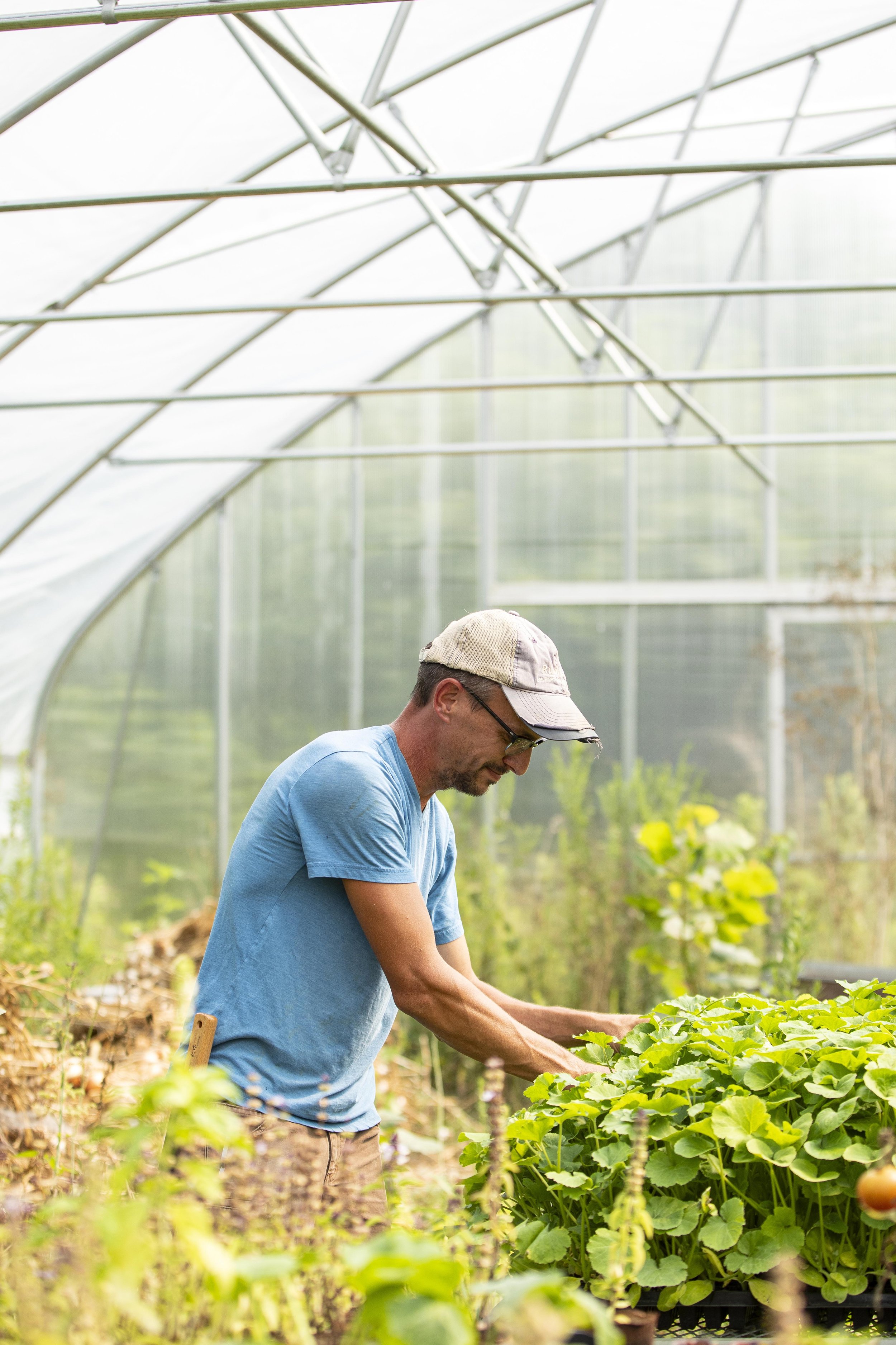 9N Farm | Ohio Farm Photographer | Allison McAdams |001.jpg