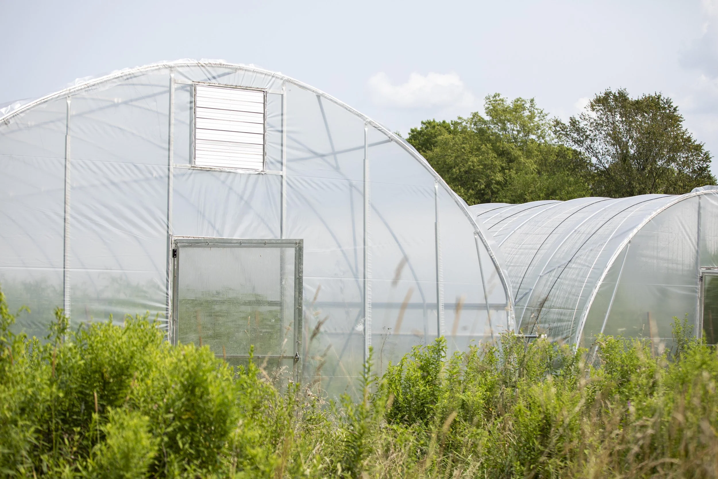 9N Farm | Ohio Farm Photographer | Allison McAdams |004.jpg