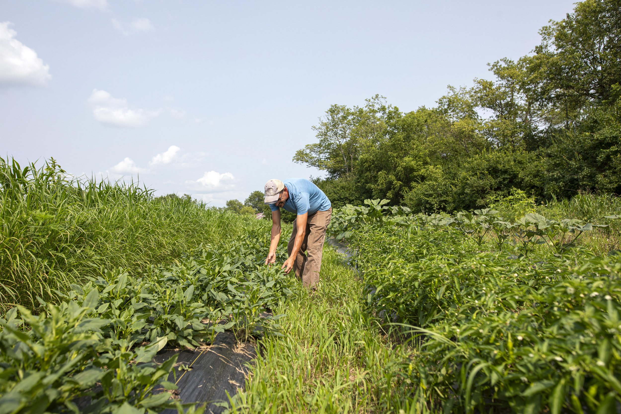 9N Farm | Ohio Farm Photographer | Allison McAdams |012.jpg