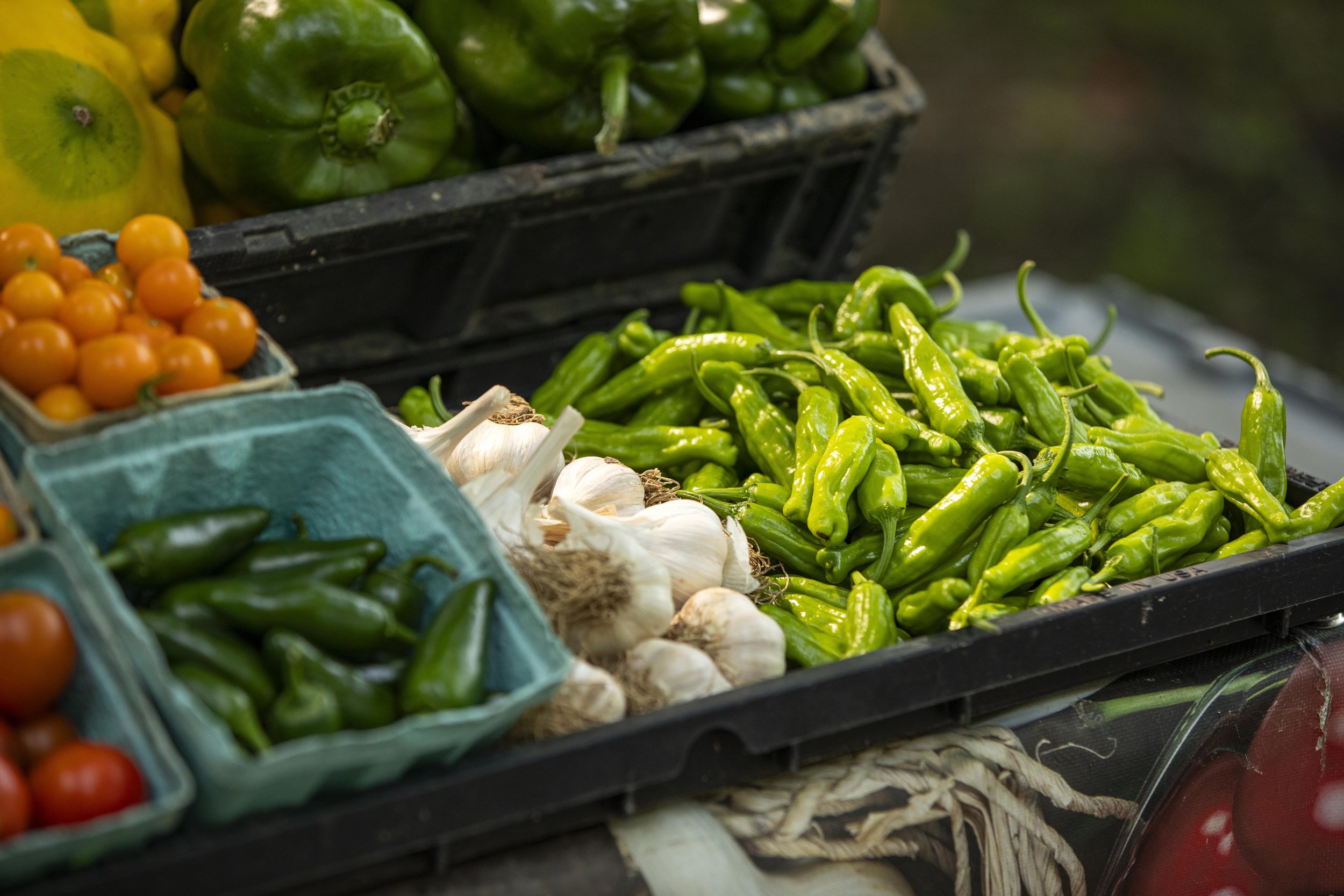 9N Farm | Ohio Farm Photographer | Allison McAdams |015.jpg