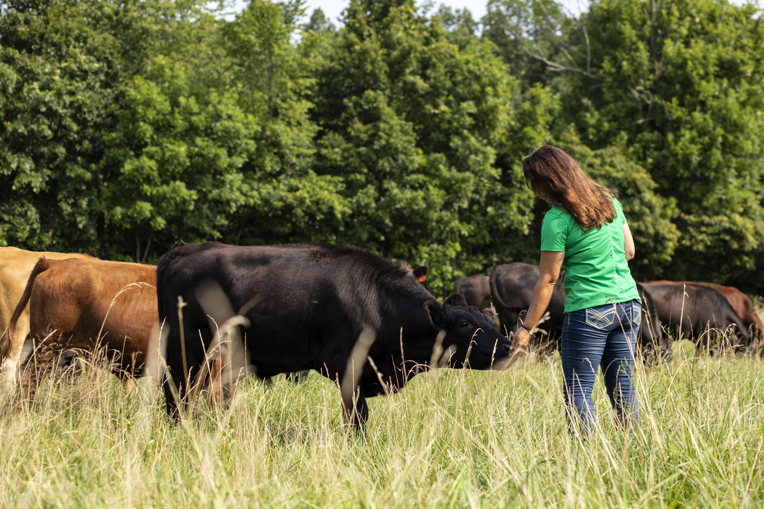Dogwood Farm | Ohio Farm Photographer | Allison McAdams 002.jpg