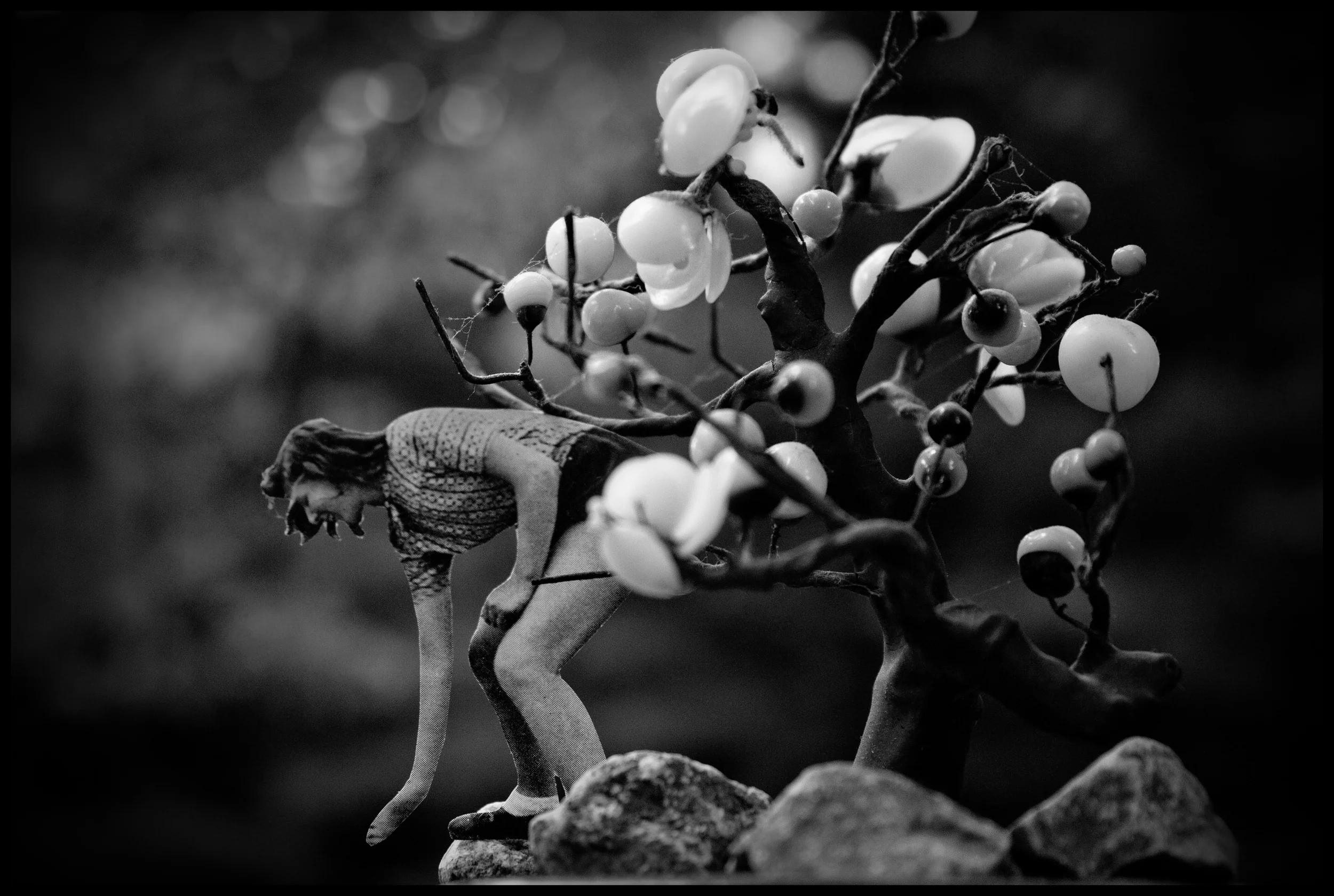 She hid out on a fruit farm in Homestead. -2011