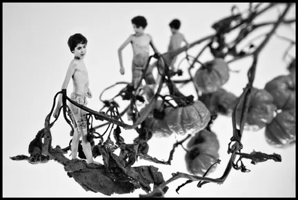 He is adaptable by necessity. -2012