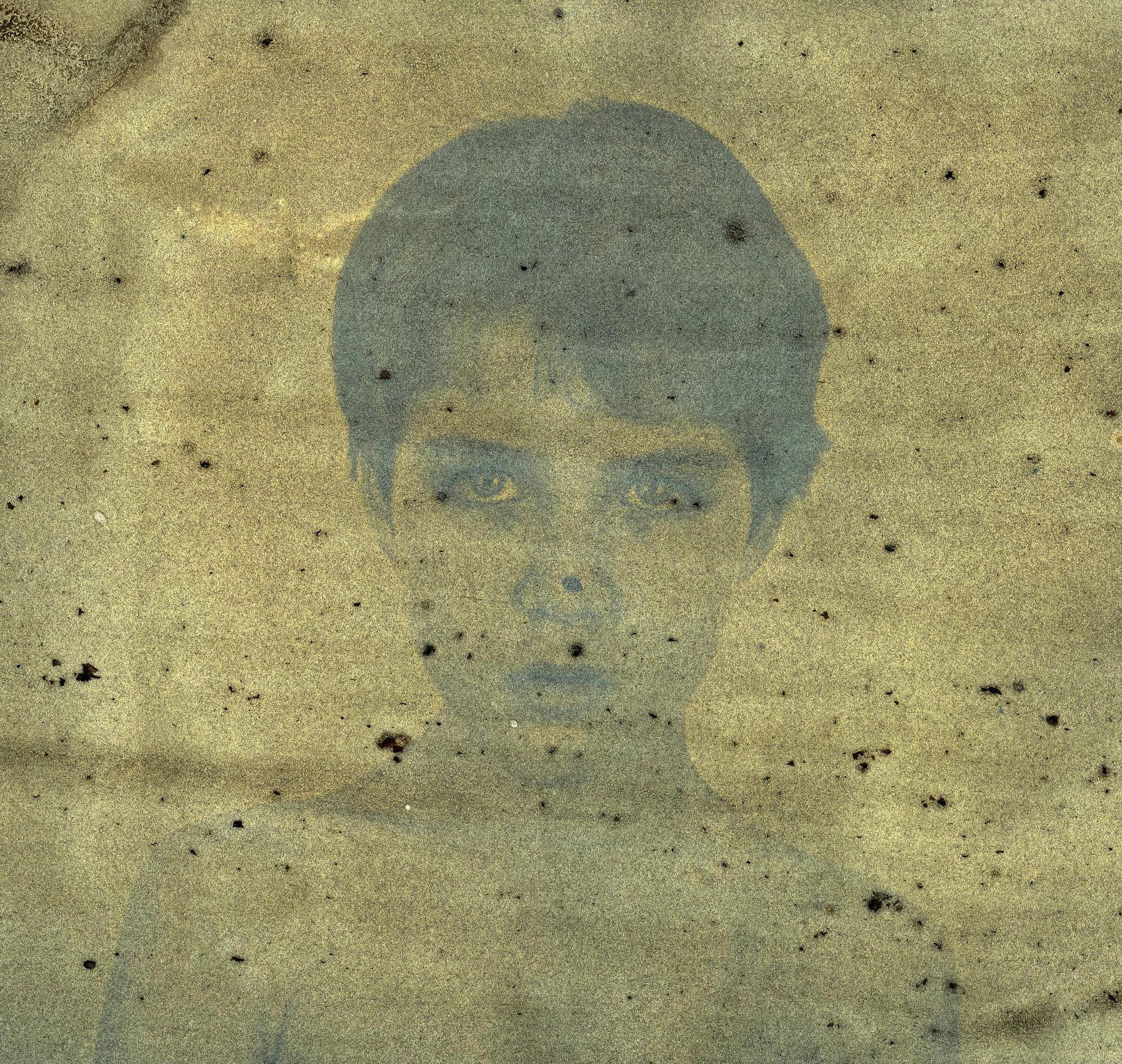 Simon, Mulberry emulsion anthotype, 2015