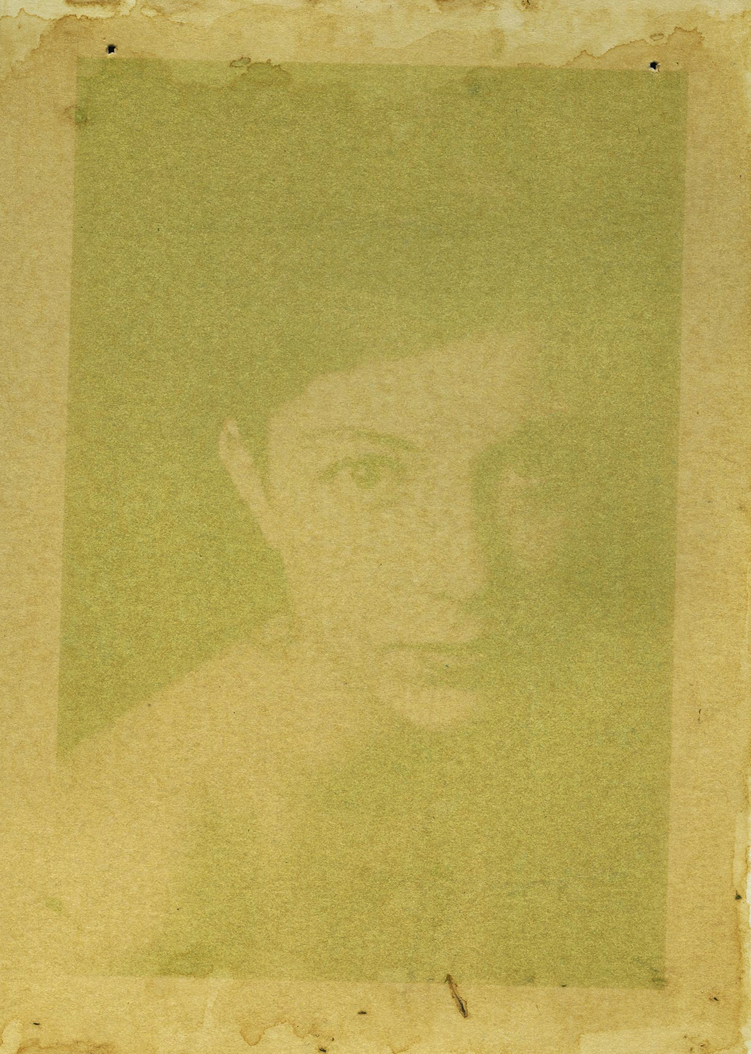  Taylor, Spinach emulsion anthotype, 2014 