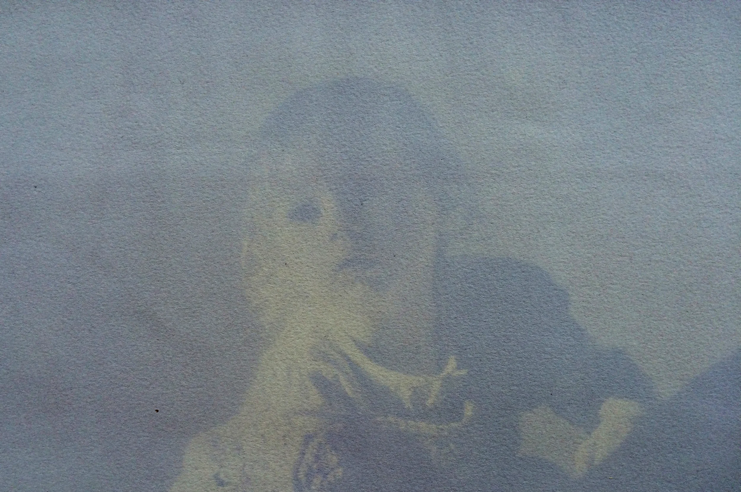 Nico, Blueberry emulsion anthotype, 2015