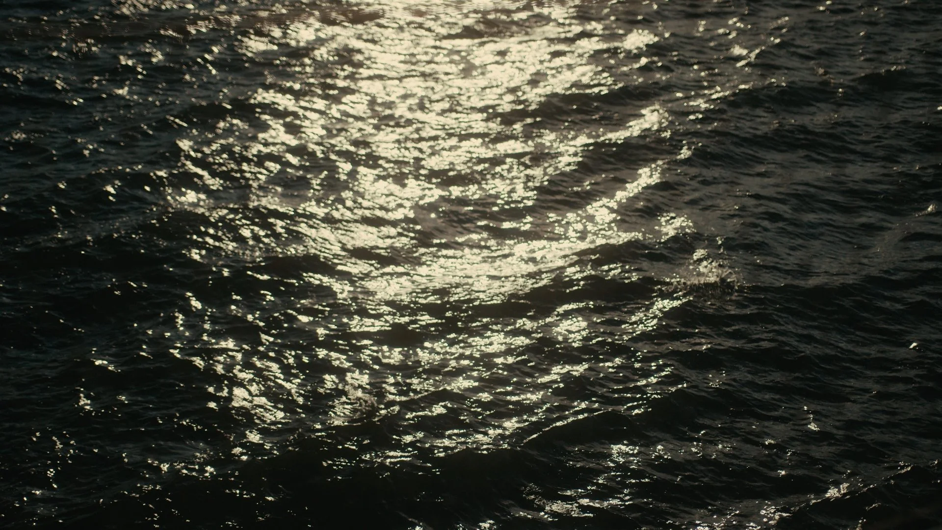 Still 2025-02-18 122141_3.22.1.jpg