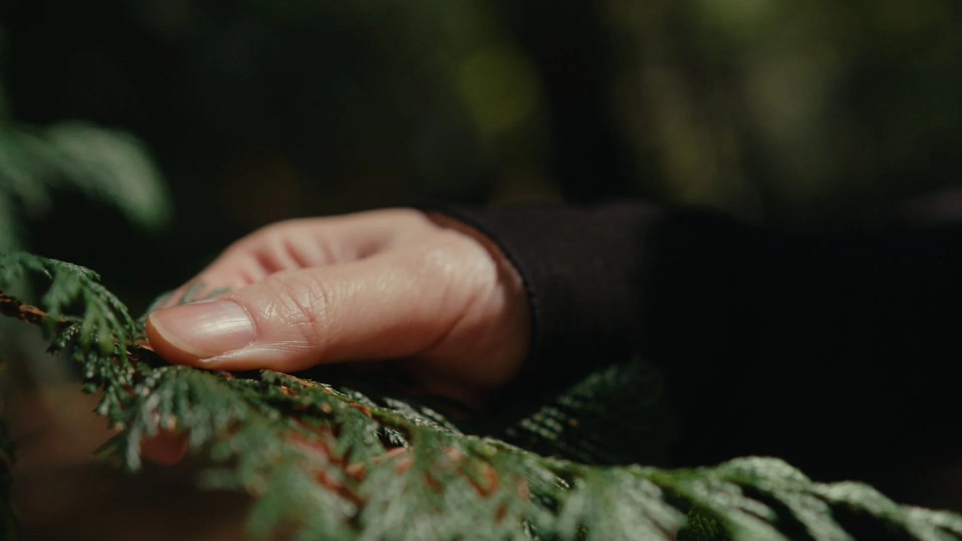 Still 2025-02-18 122141_3.3.1.jpg