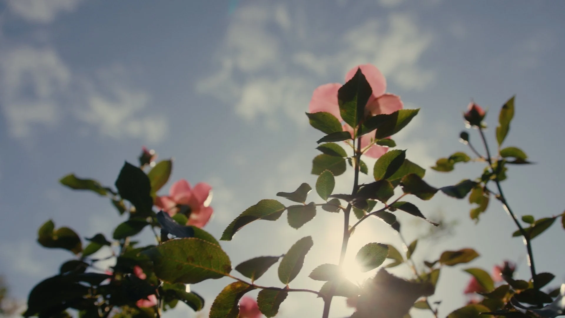 Still 2025-02-18 122141_4.8.1.jpg