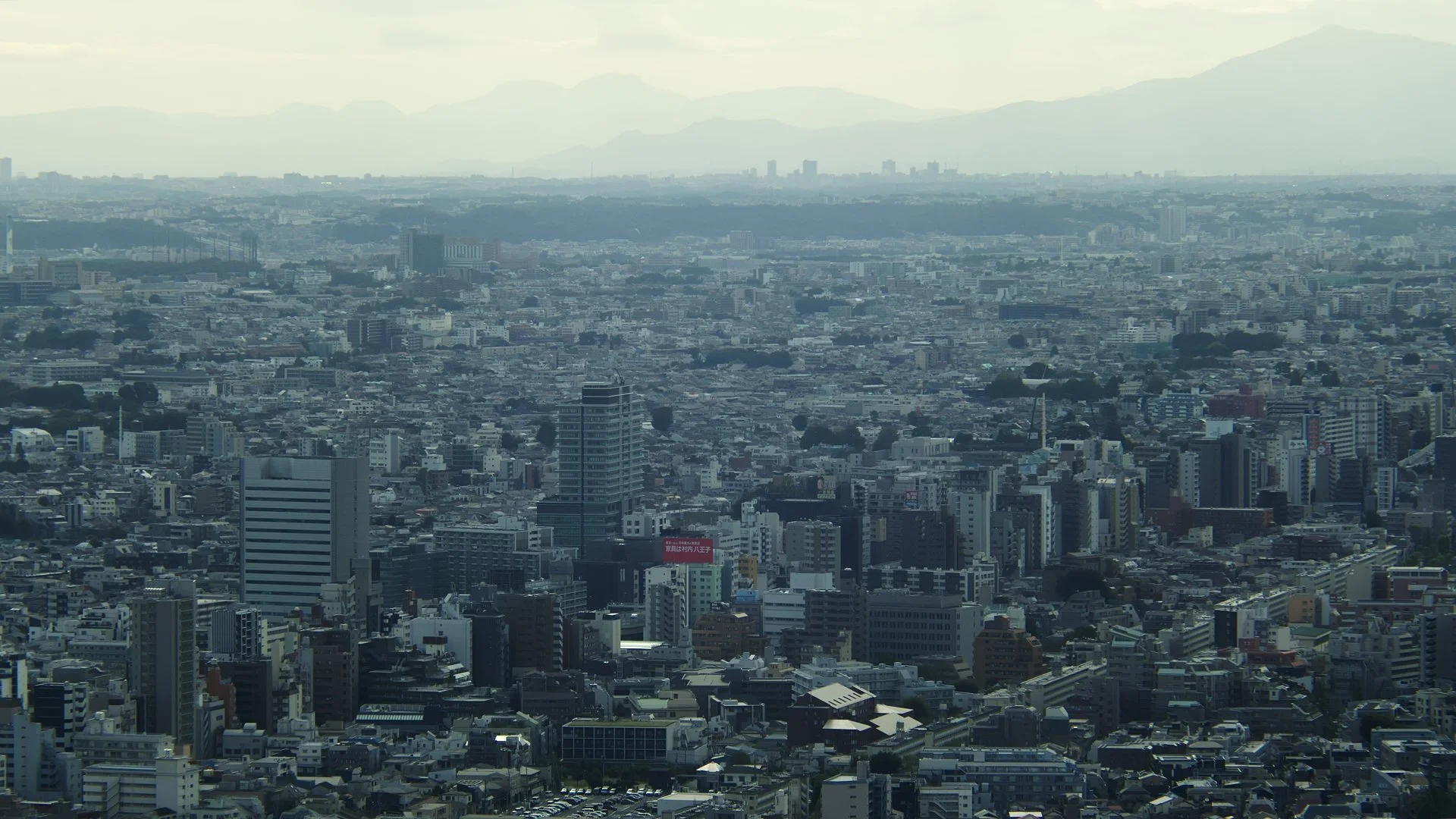 Still 2025-02-18 122141_4.12.1.jpg