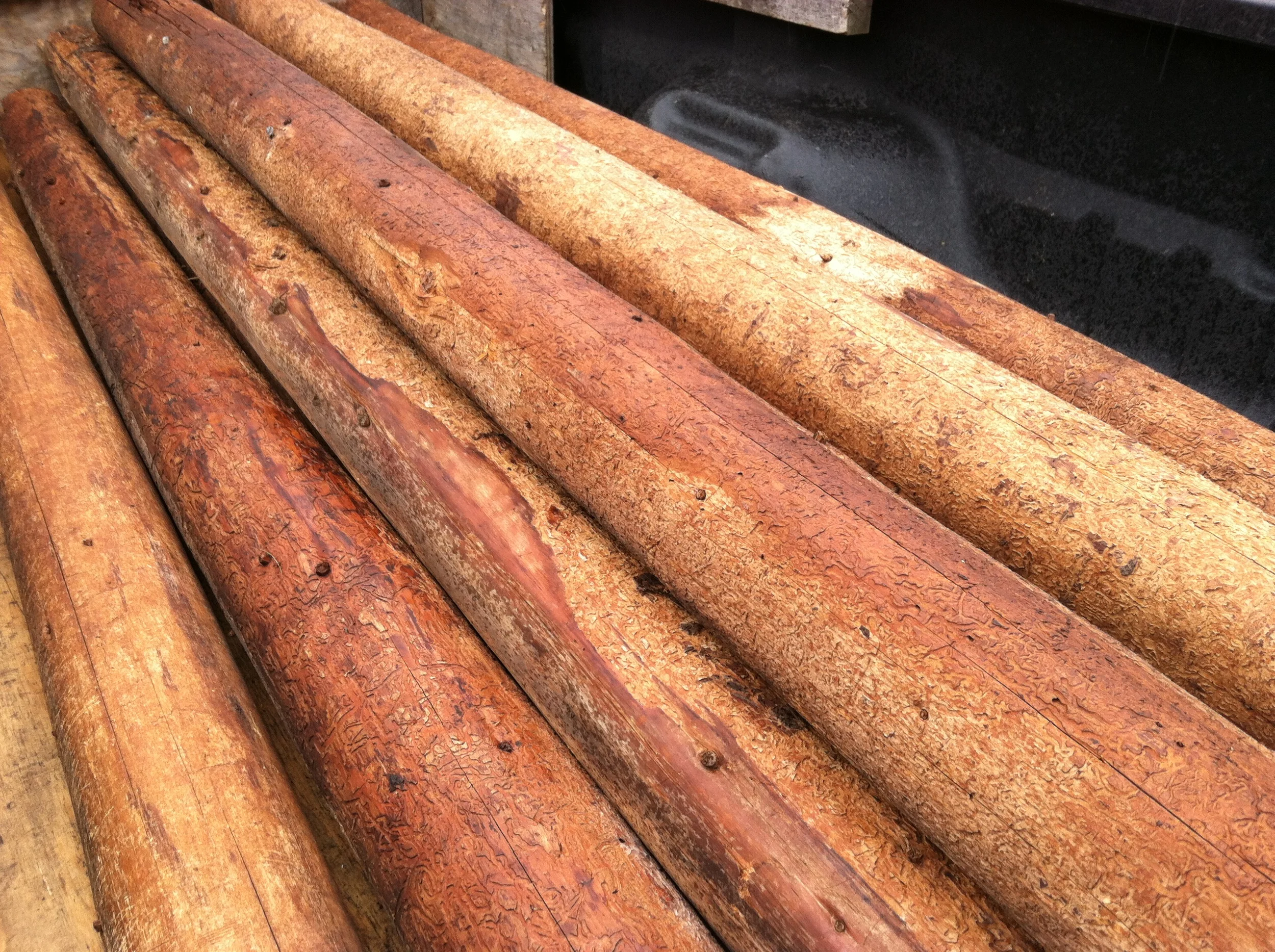 jerusalem barn purlins.JPG