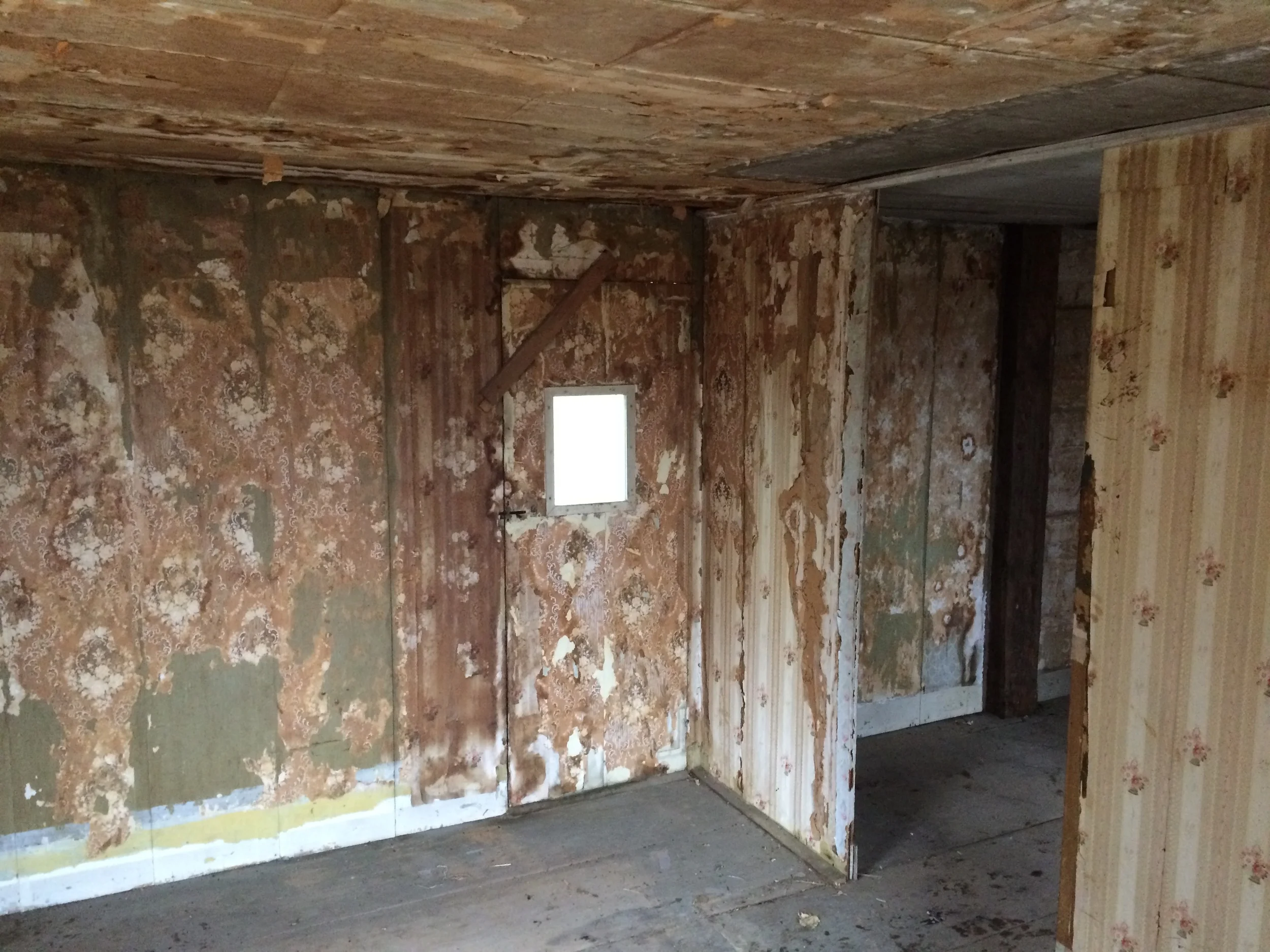 Acorn Hill 1 copy.JPG