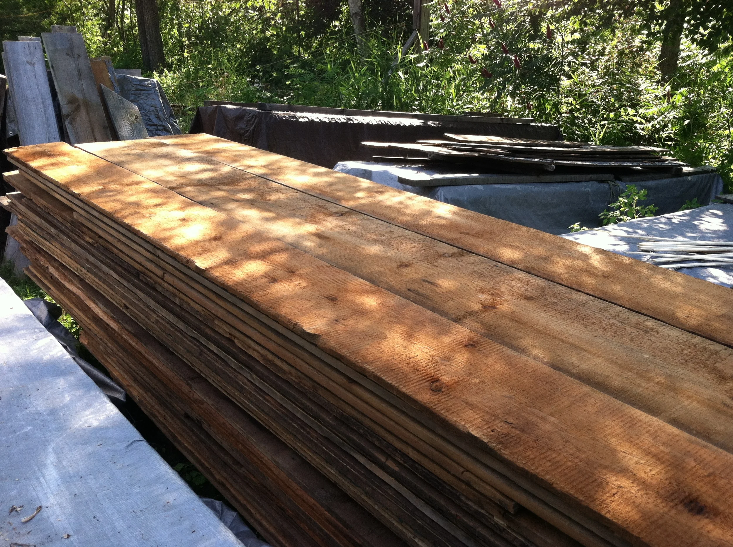 Ashley Pine Boards 1.JPG