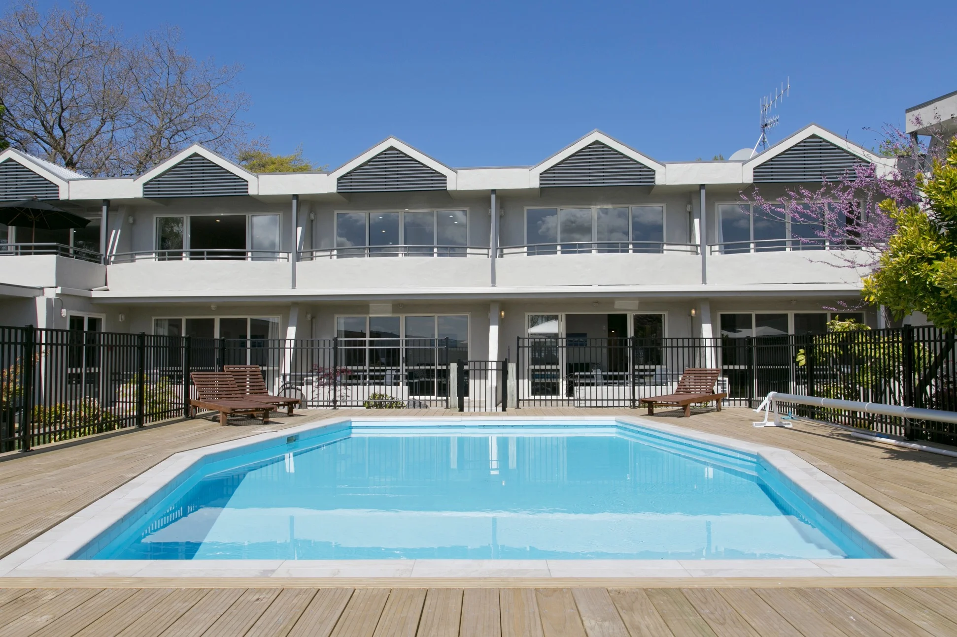 pool area heated swimming pool 3.jpg